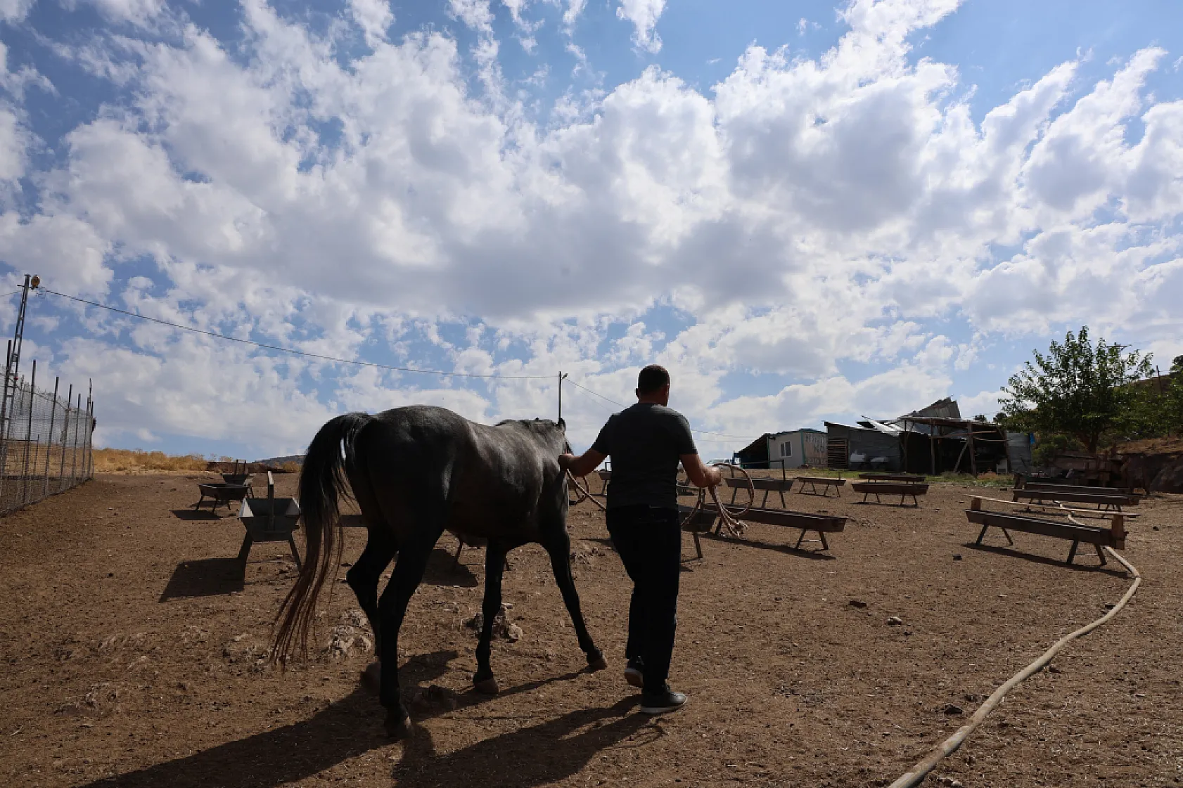 Osmanlı'nın unutulan atları Elazığ'da yeniden yetiştiriliyor