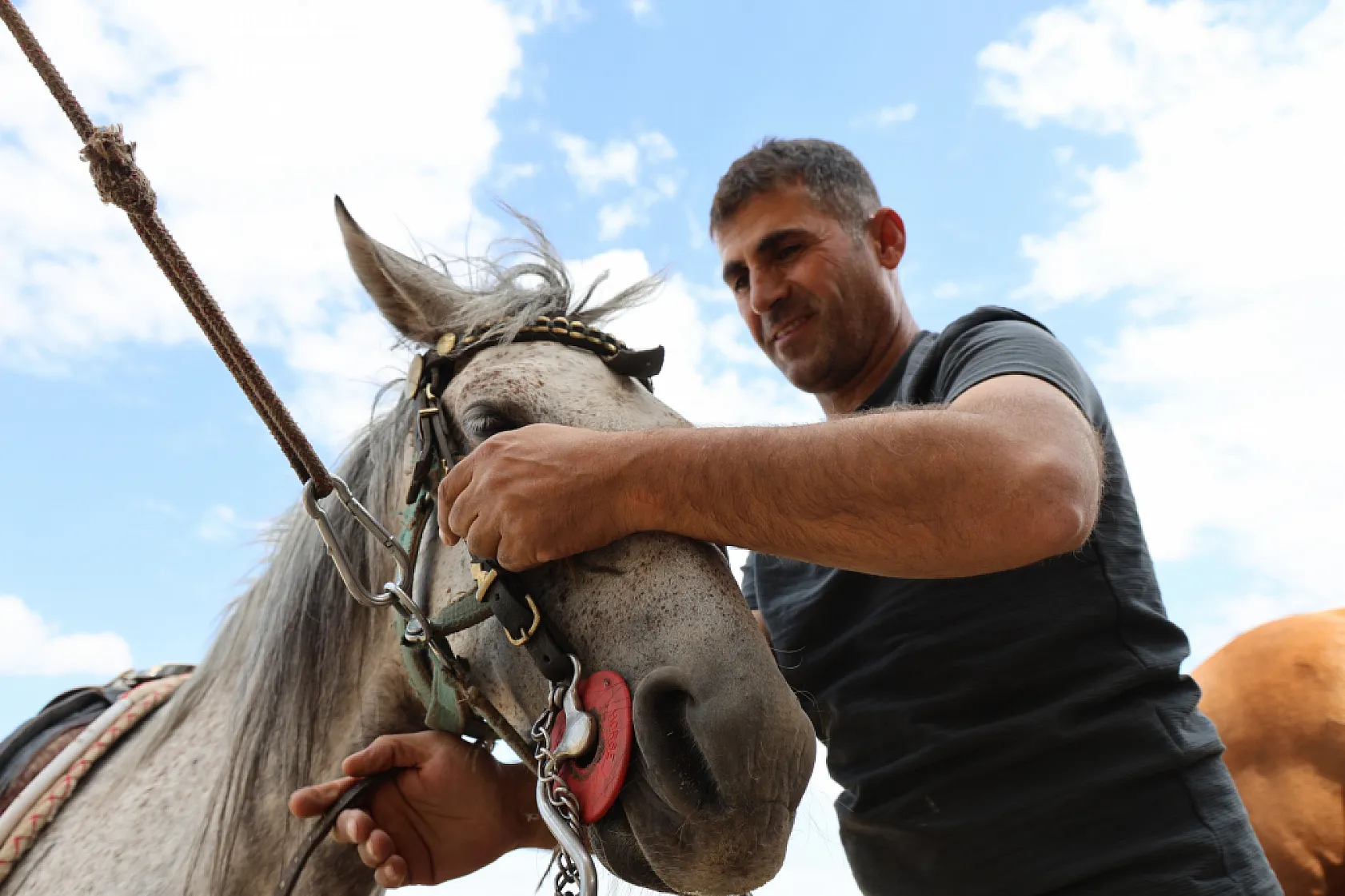 Osmanlı'nın unutulan atları Elazığ'da yeniden yetiştiriliyor