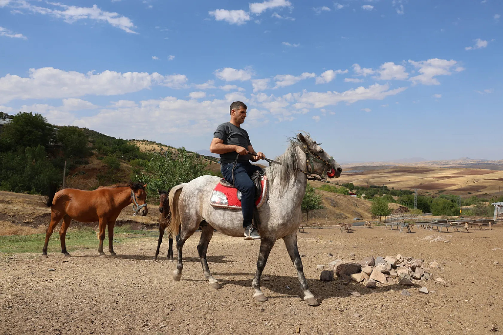 Osmanlı'nın unutulan atları Elazığ'da yeniden yetiştiriliyor