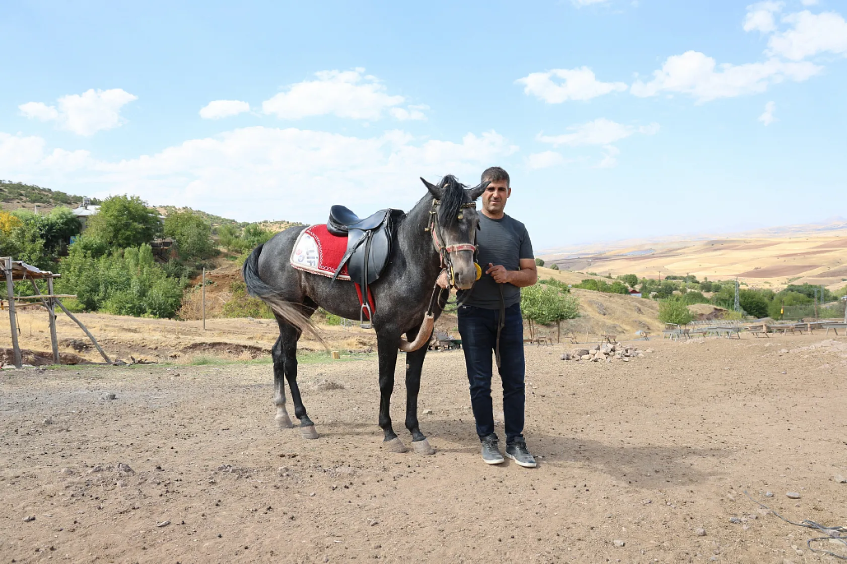 Osmanlı'nın unutulan atları Elazığ'da yeniden yetiştiriliyor