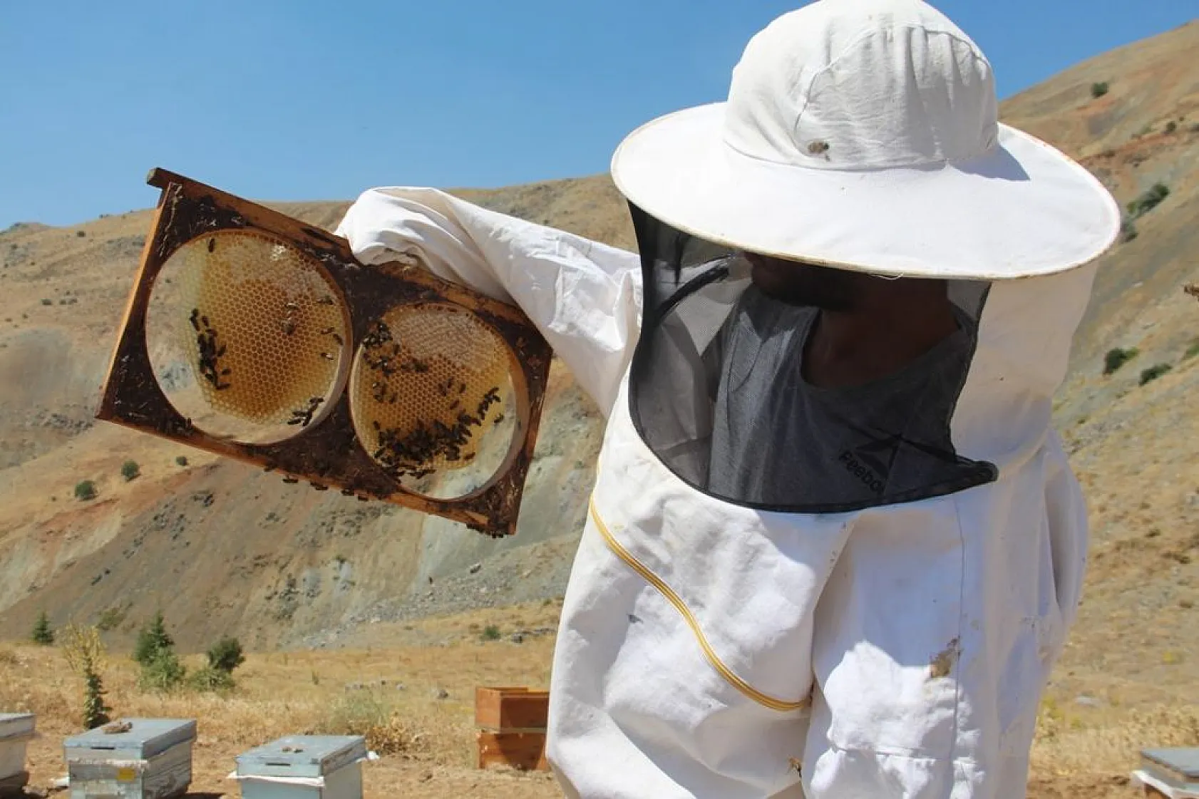 Arıcıların sıcakta zorlu mesaisi sürüyor