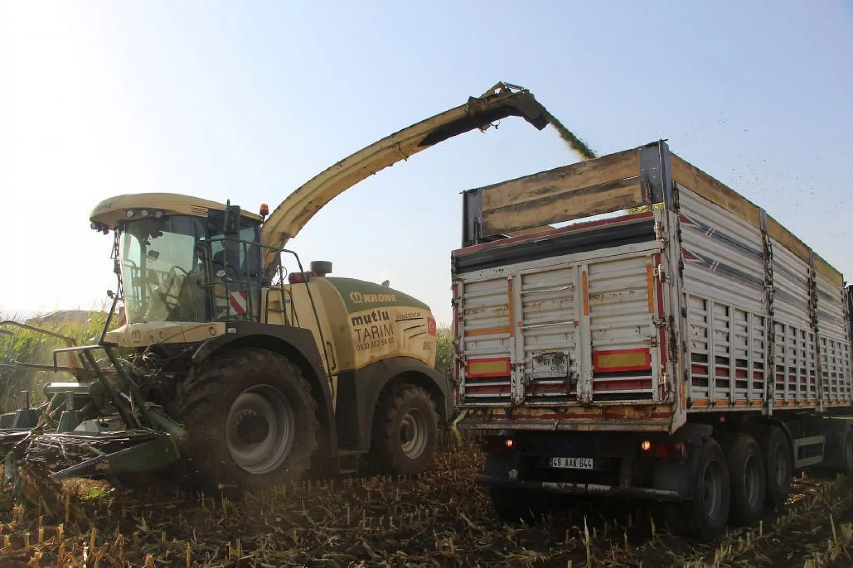 Mısırın üretimi arttı