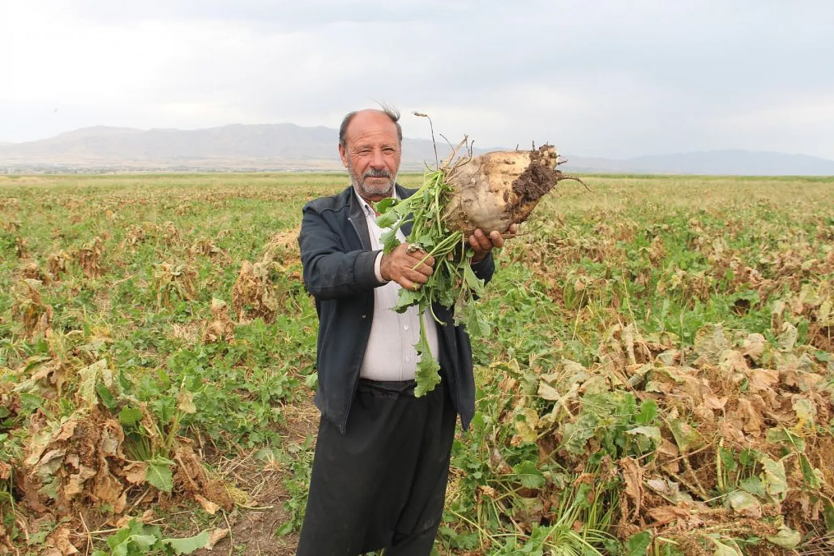Çiftçiler taban fiyatından memnun
