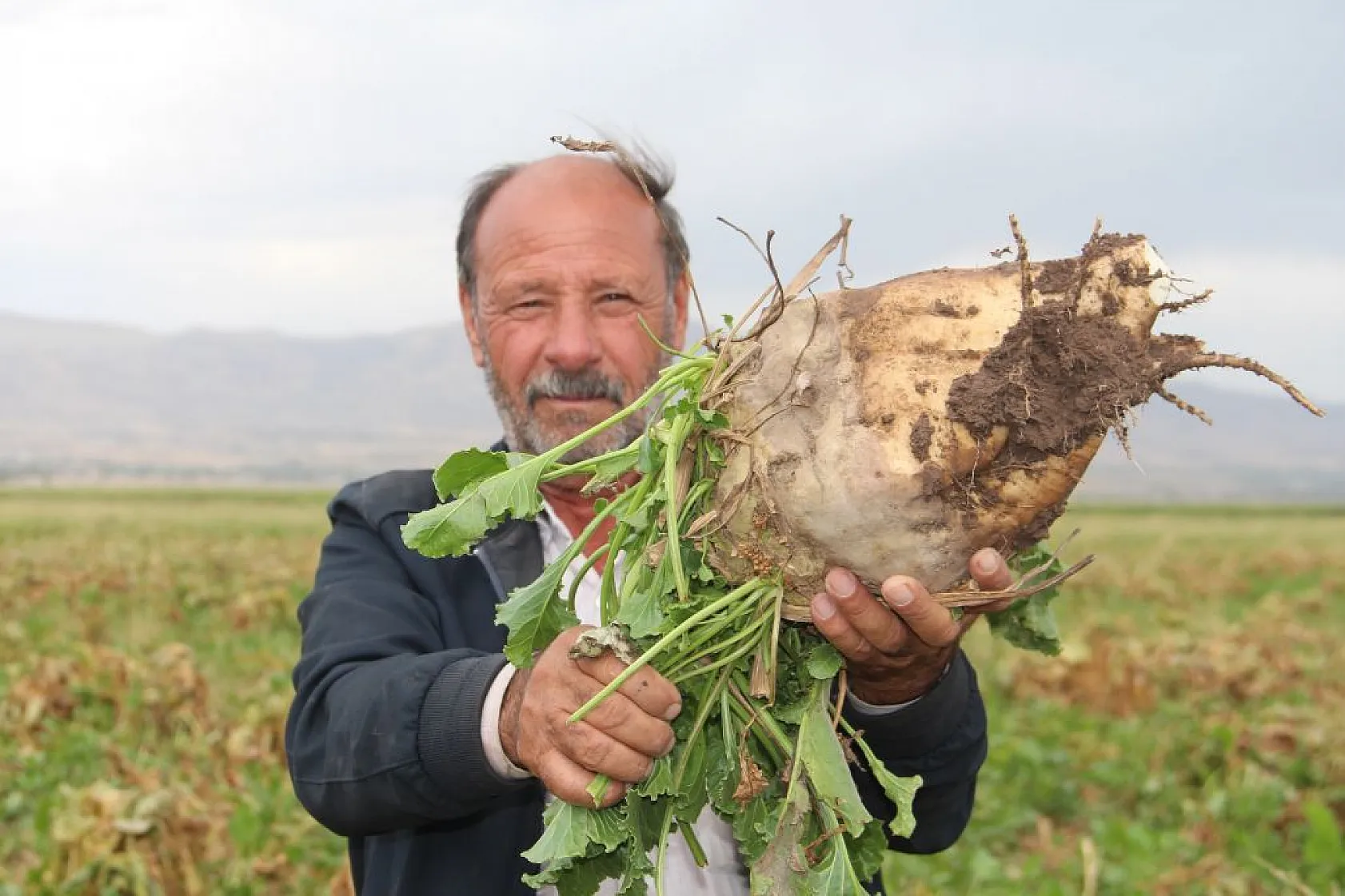 Çiftçiler taban fiyatından memnun