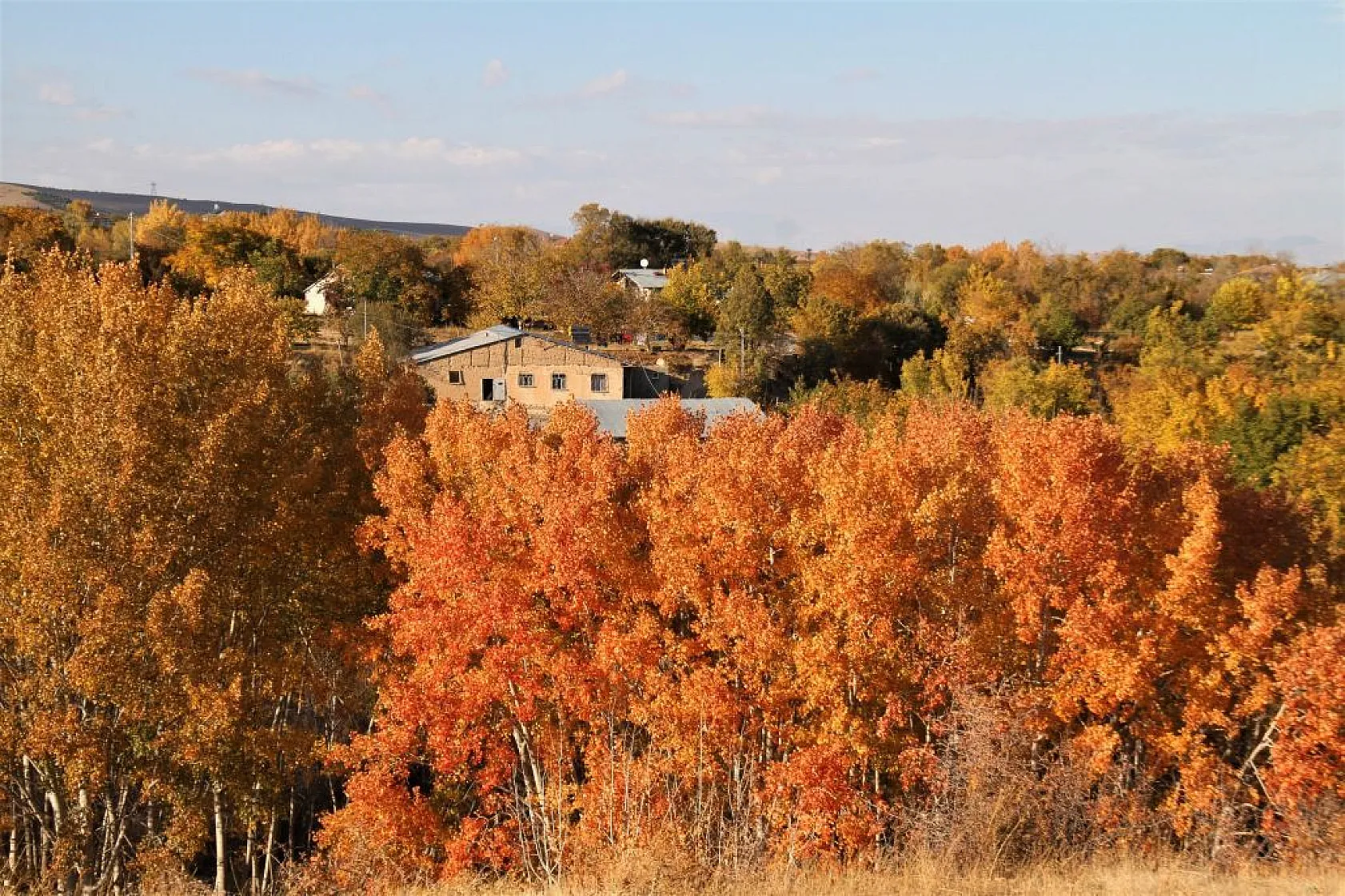 Elazığ'da sonbahar güzelliği