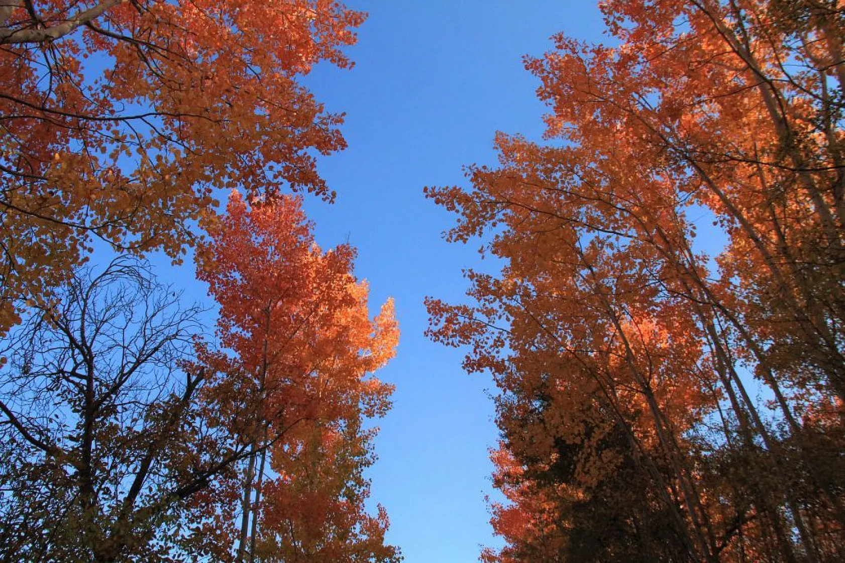 Elazığ'da sonbahar güzelliği