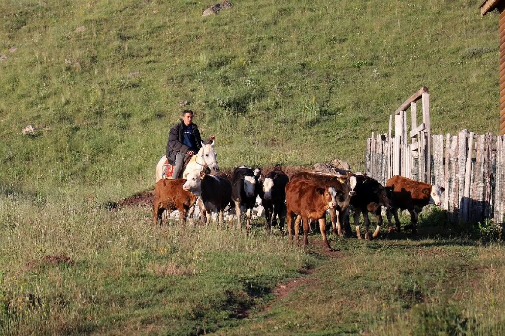 Türkiye sıcaktan kavruluyor onlar soba yakıyor