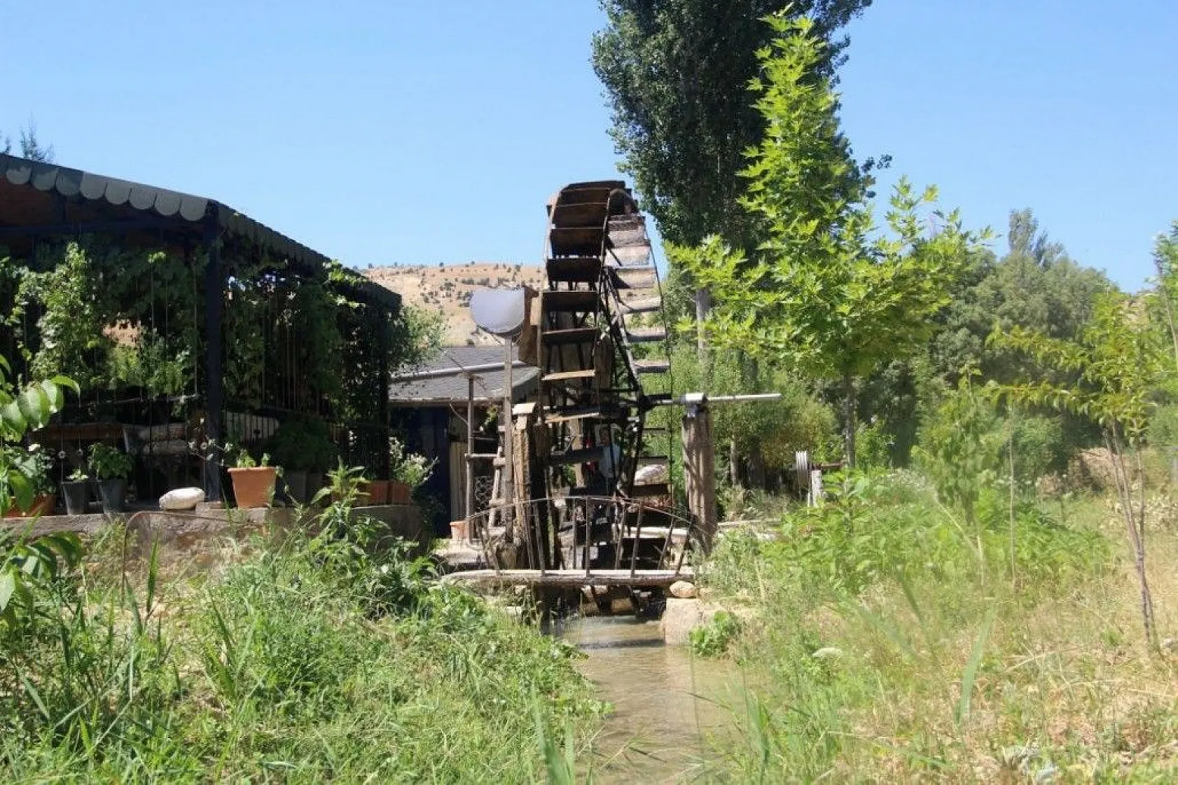 Türünün son örneği '80 yıldır' dönüyor