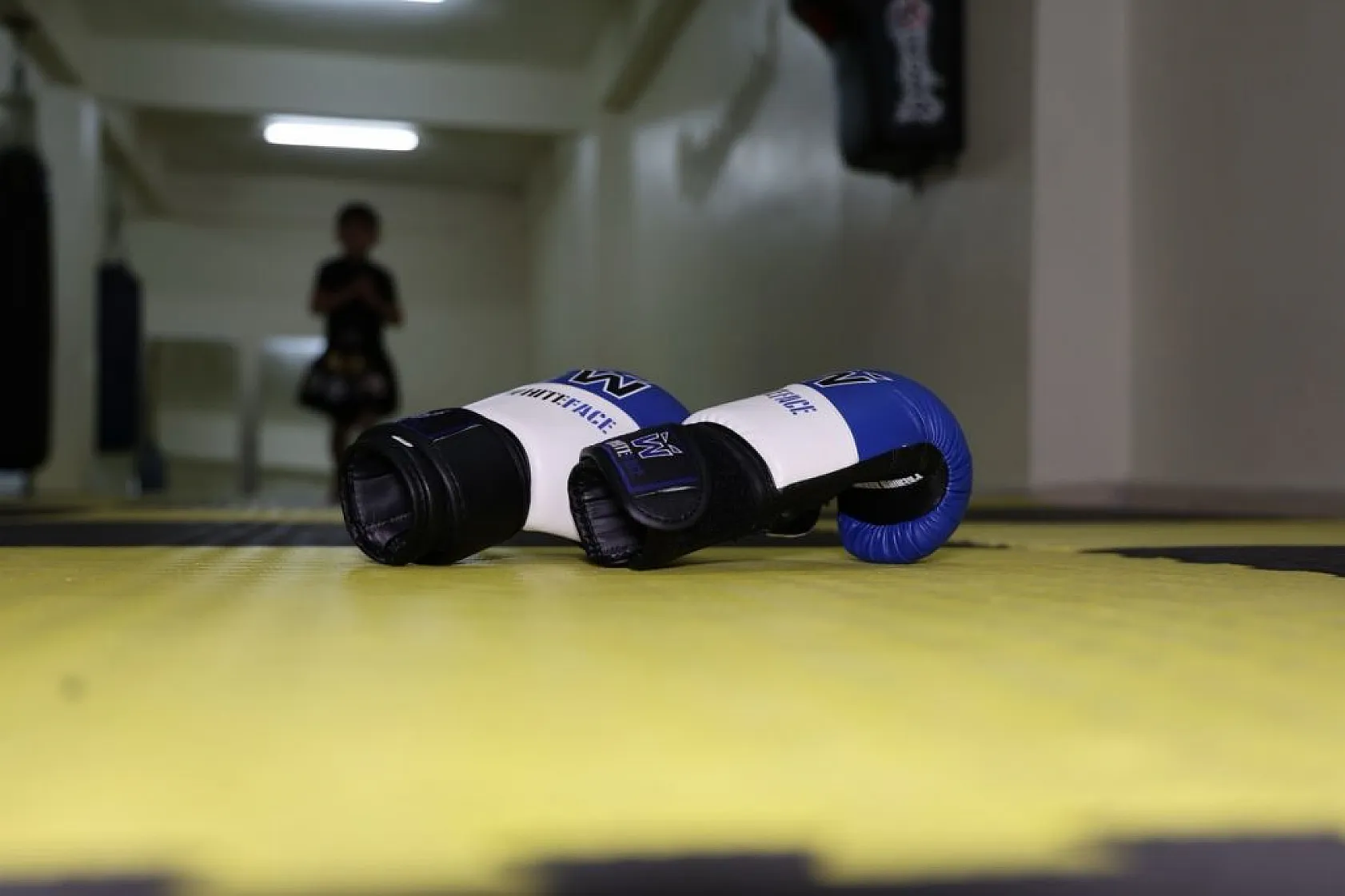 Palu Kalesi'nden ulusal arenaya