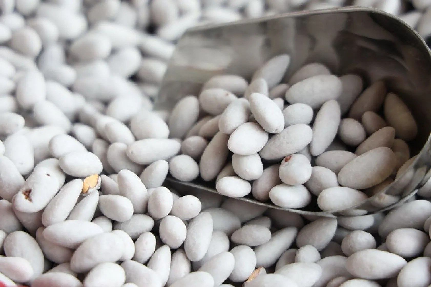 Elazığ'ın beyaz altınına yoğun ilgi