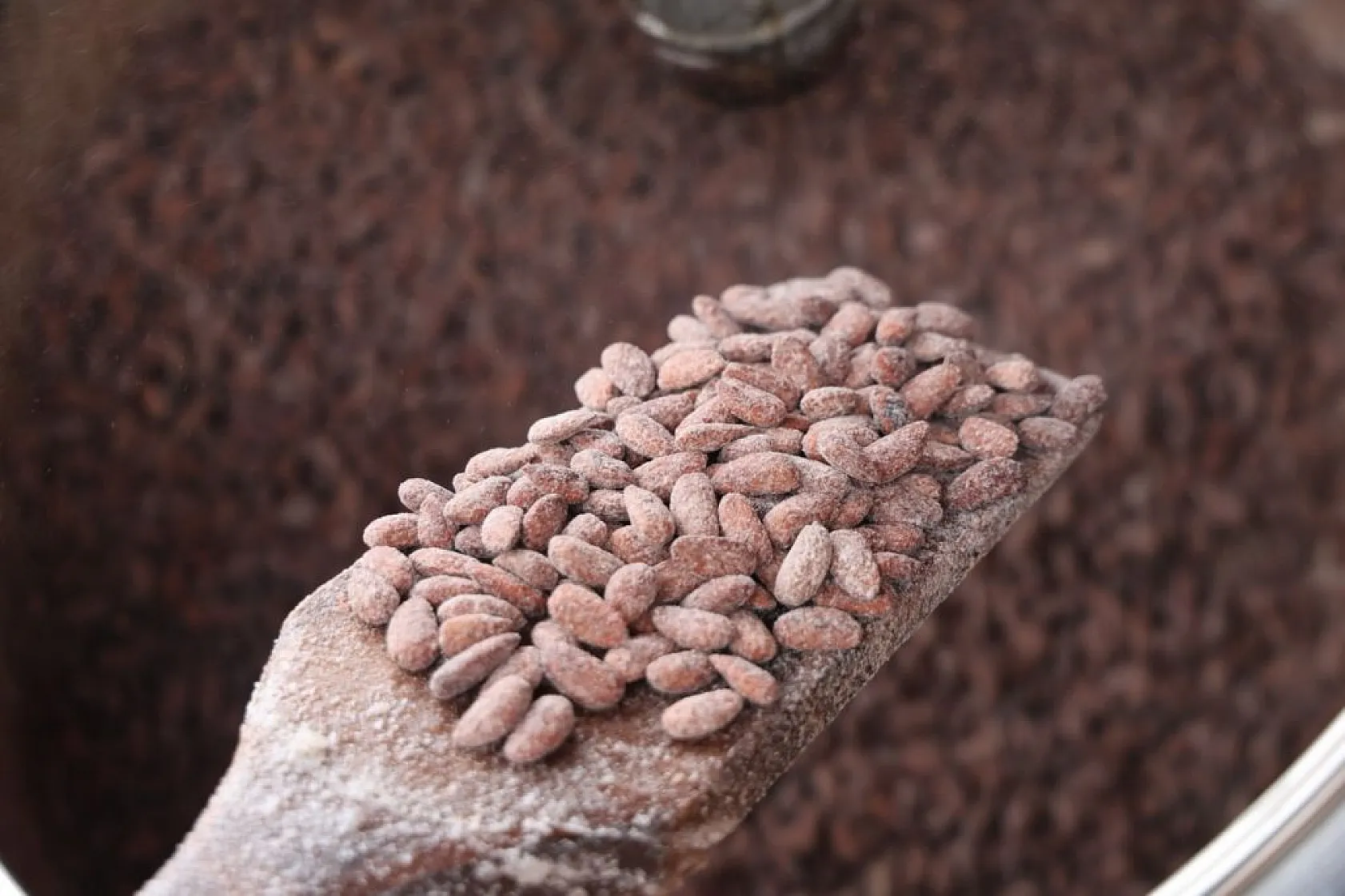 Elazığ'ın beyaz altınına yoğun ilgi