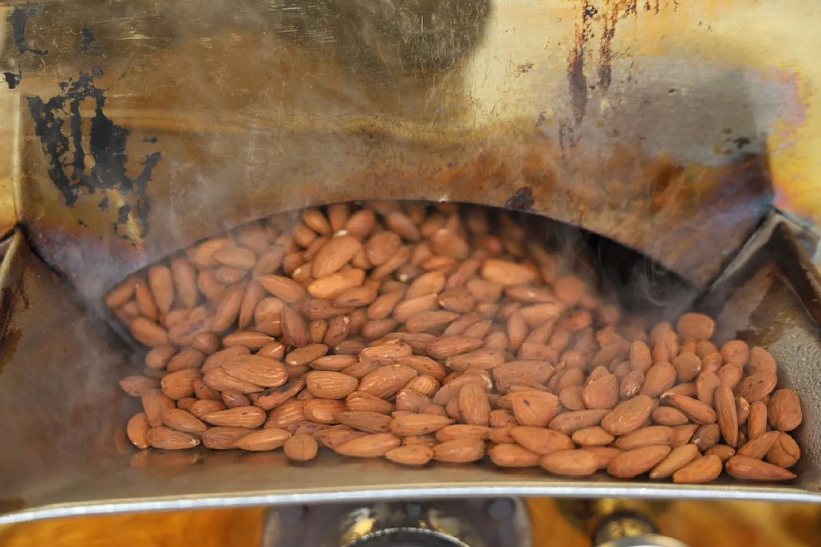 Elazığ'ın beyaz altınına yoğun ilgi