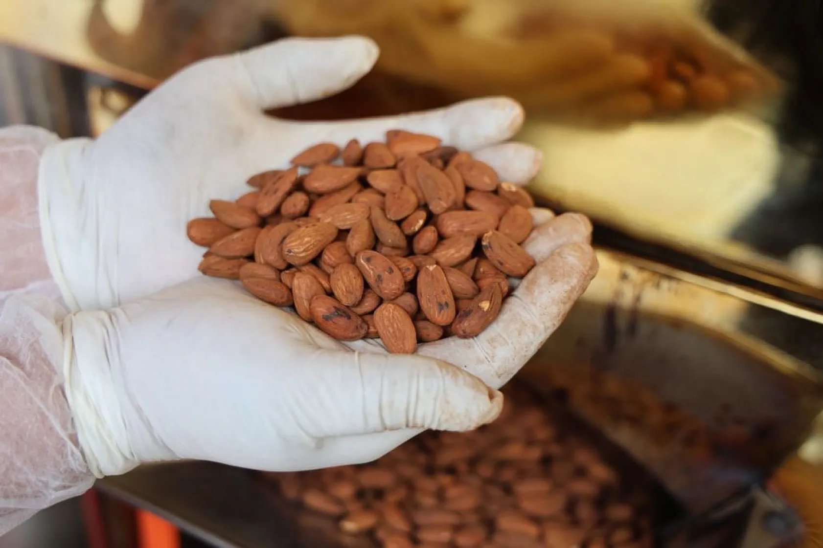 Elazığ'ın beyaz altınına yoğun ilgi