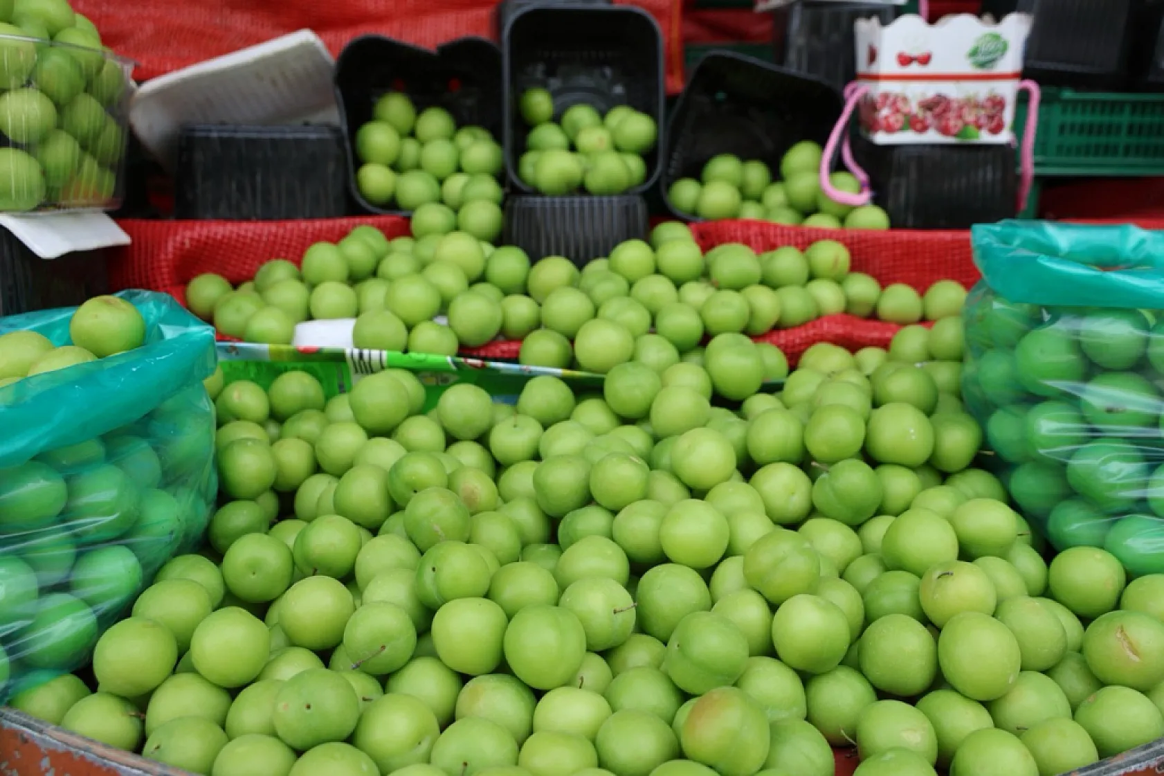 En ucuzu Elazığ'da!