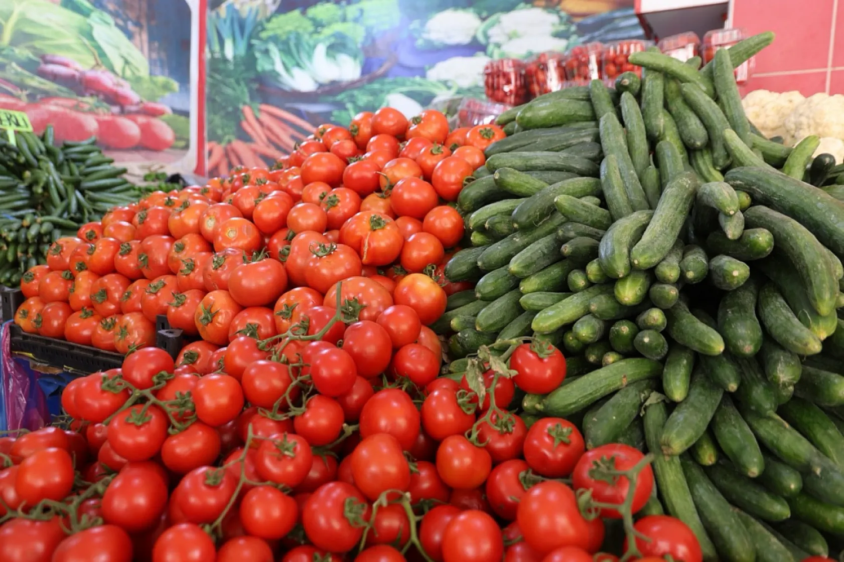 En ucuzu Elazığ'da!
