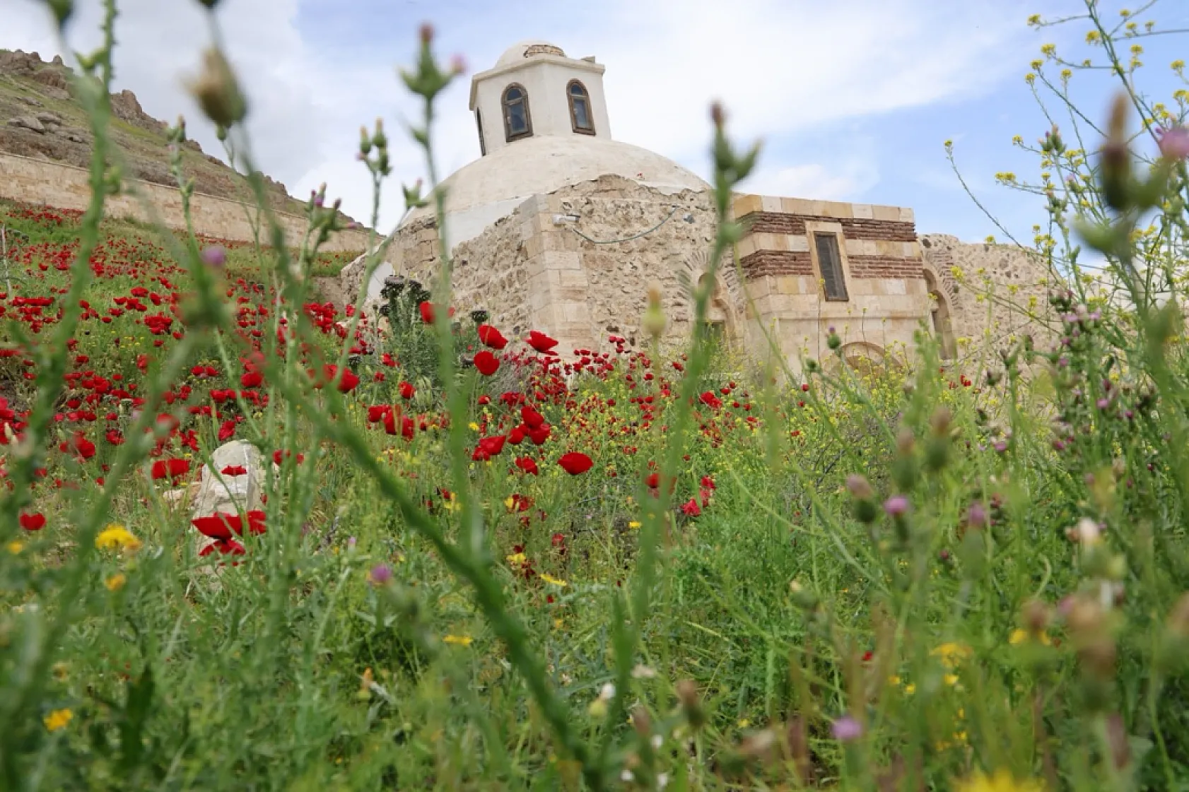 Elazığ'ın Palu ilçesi yaz aylarında tarih ve doğayı bir arada sunuyor