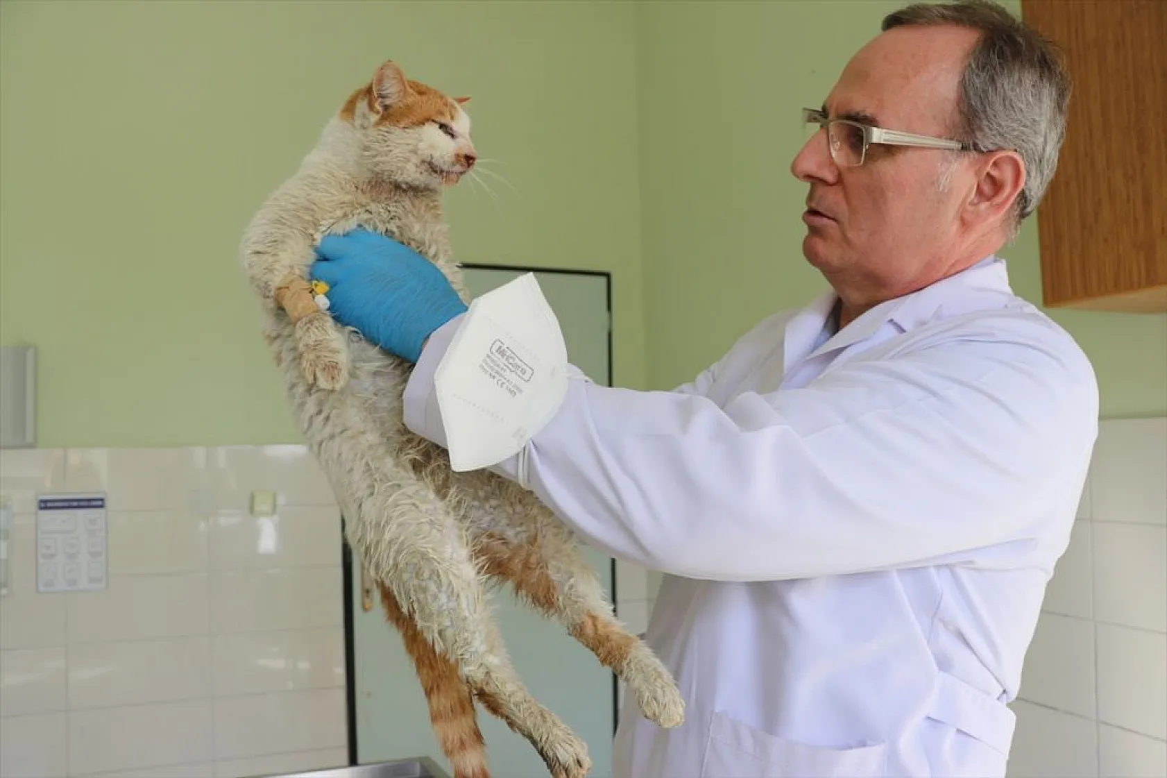 Depremde yaralanan 'can dostlar'ın tedavileri Elazığ'da yapılıyor