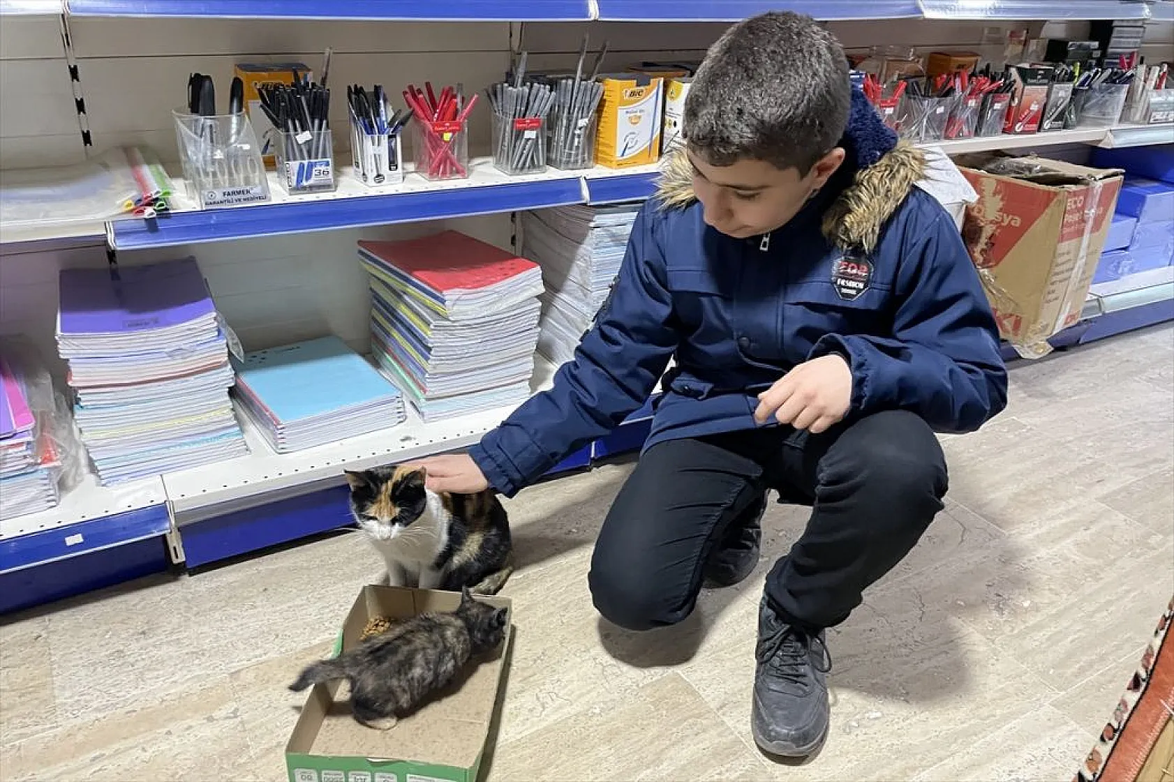 'Mestan' adını verdiği kediye 3 yıldır gözü gibi bakıyor
