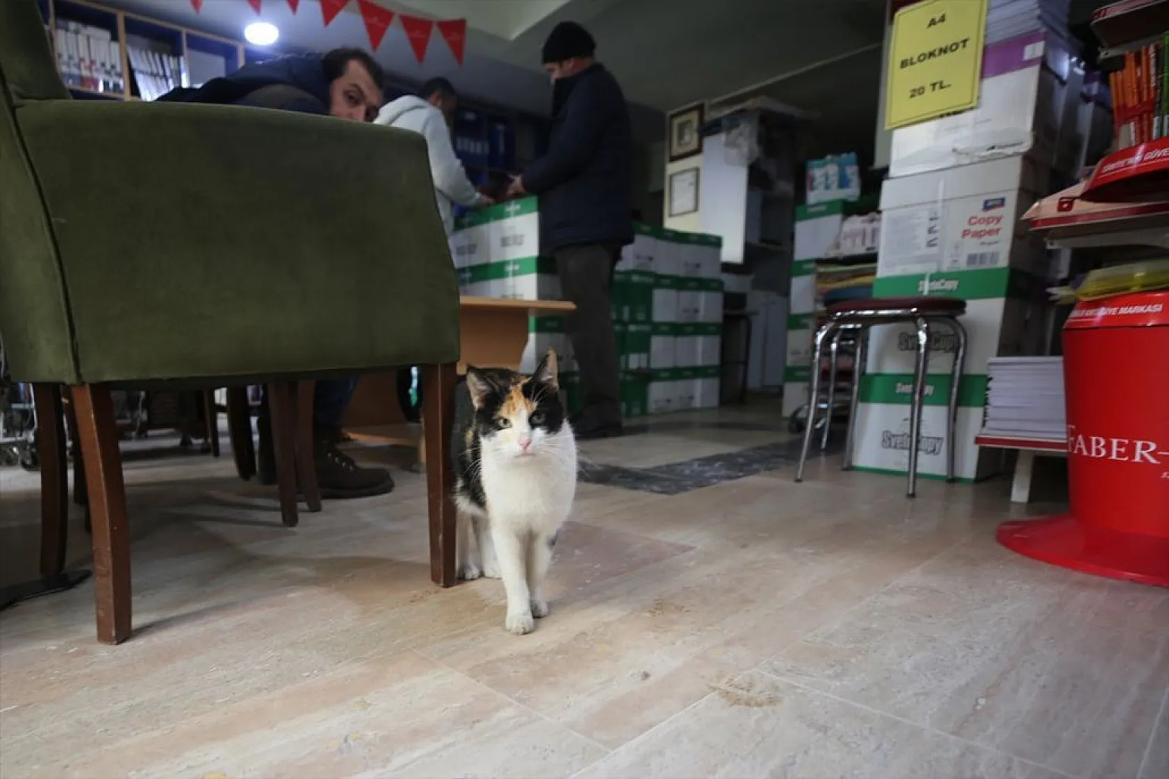'Mestan' adını verdiği kediye 3 yıldır gözü gibi bakıyor
