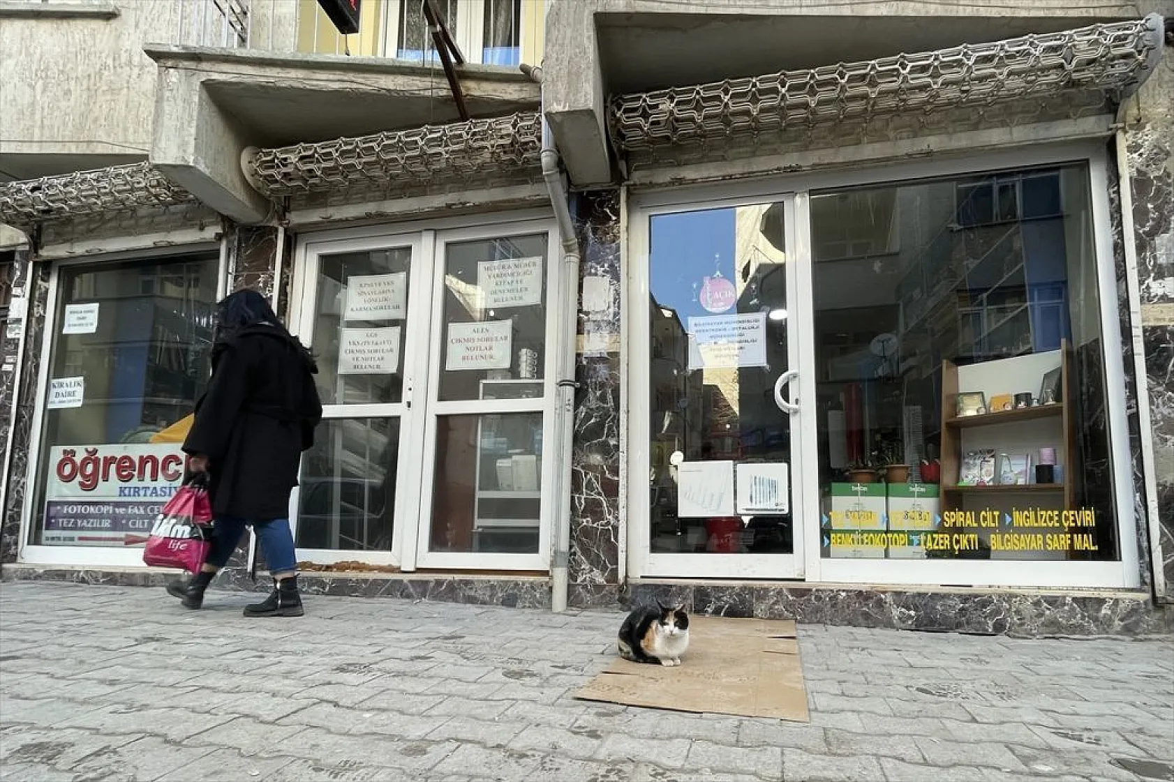 'Mestan' adını verdiği kediye 3 yıldır gözü gibi bakıyor