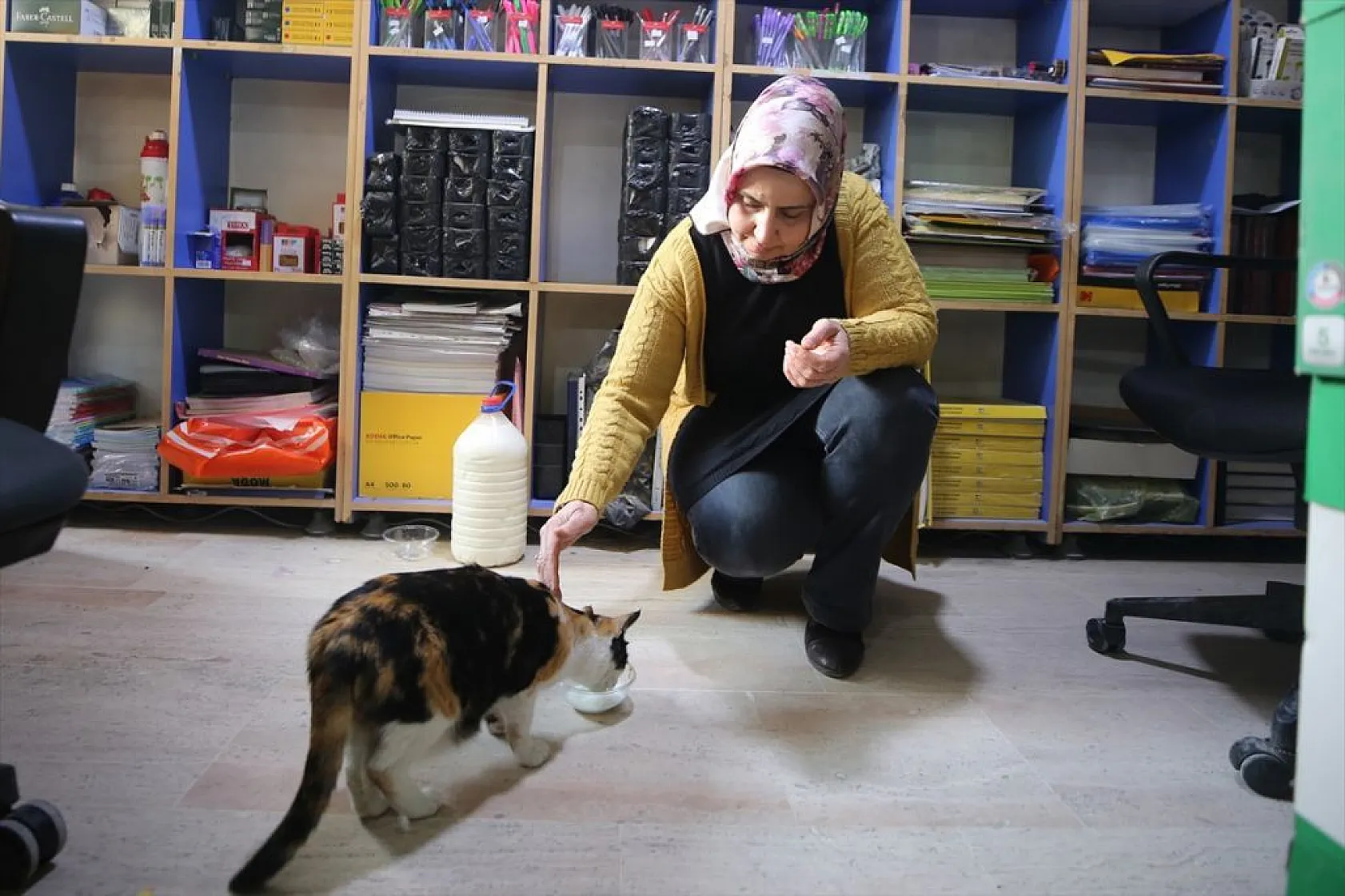 'Mestan' adını verdiği kediye 3 yıldır gözü gibi bakıyor