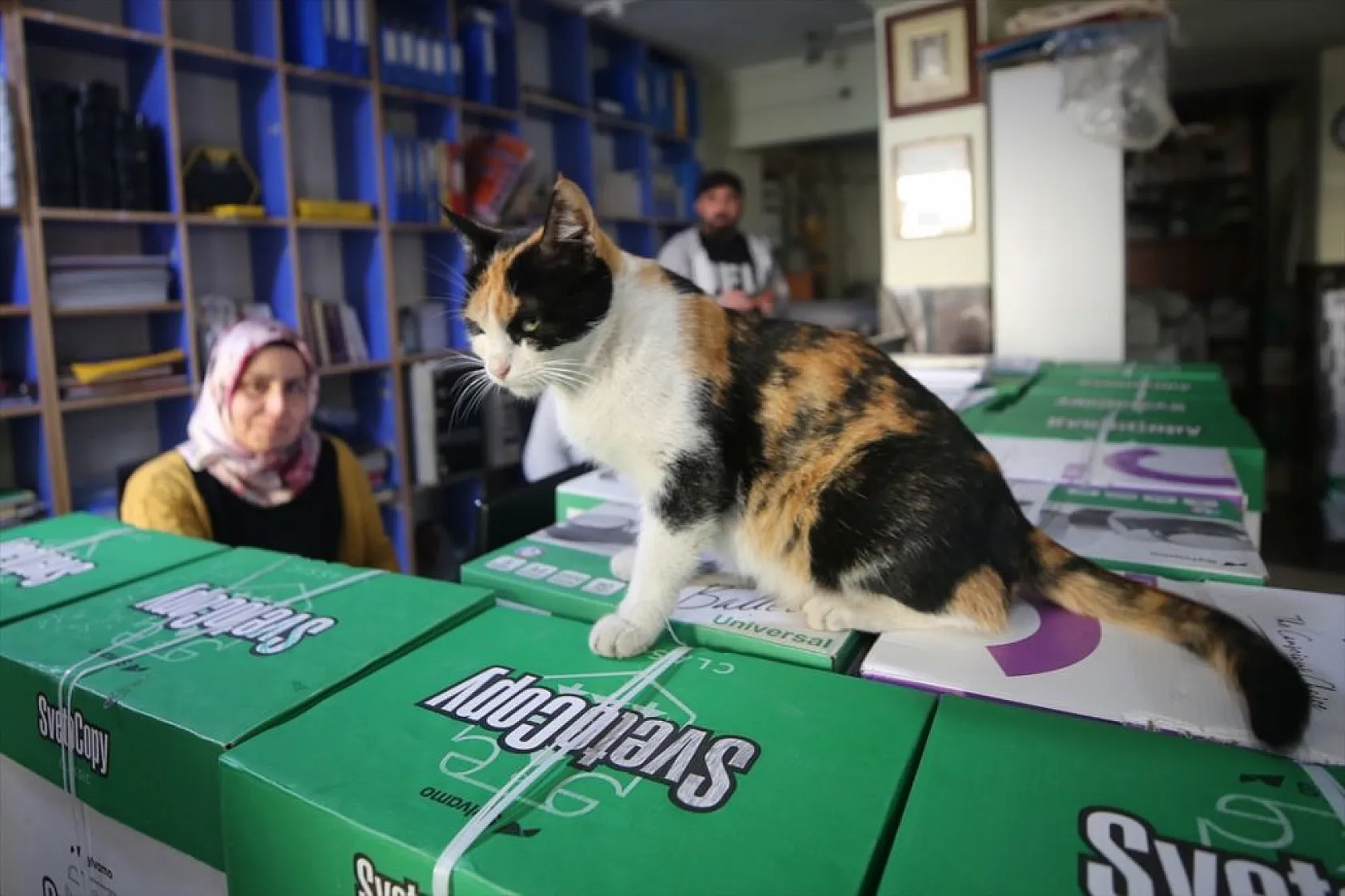 'Mestan' adını verdiği kediye 3 yıldır gözü gibi bakıyor