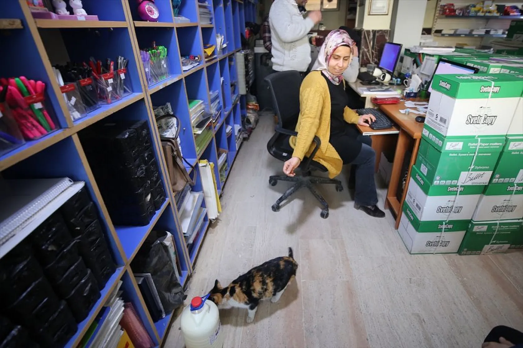 'Mestan' adını verdiği kediye 3 yıldır gözü gibi bakıyor