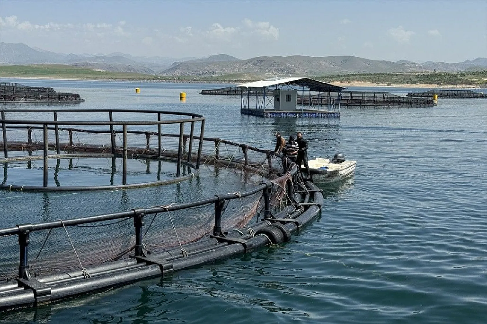 Elazığ, havyar ve Mersin balığında üretim üssü olmaya aday