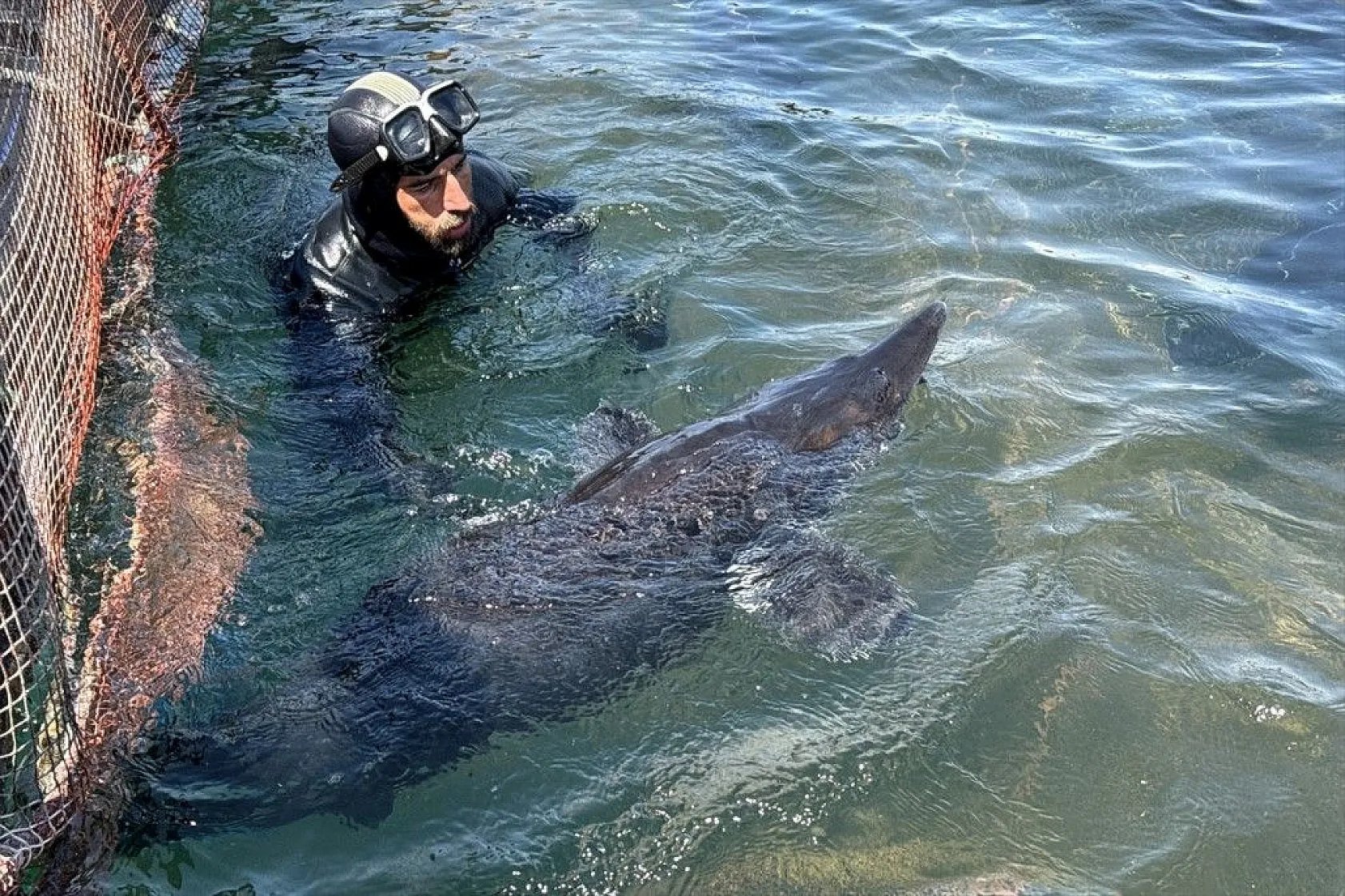Elazığ, havyar ve Mersin balığında üretim üssü olmaya aday