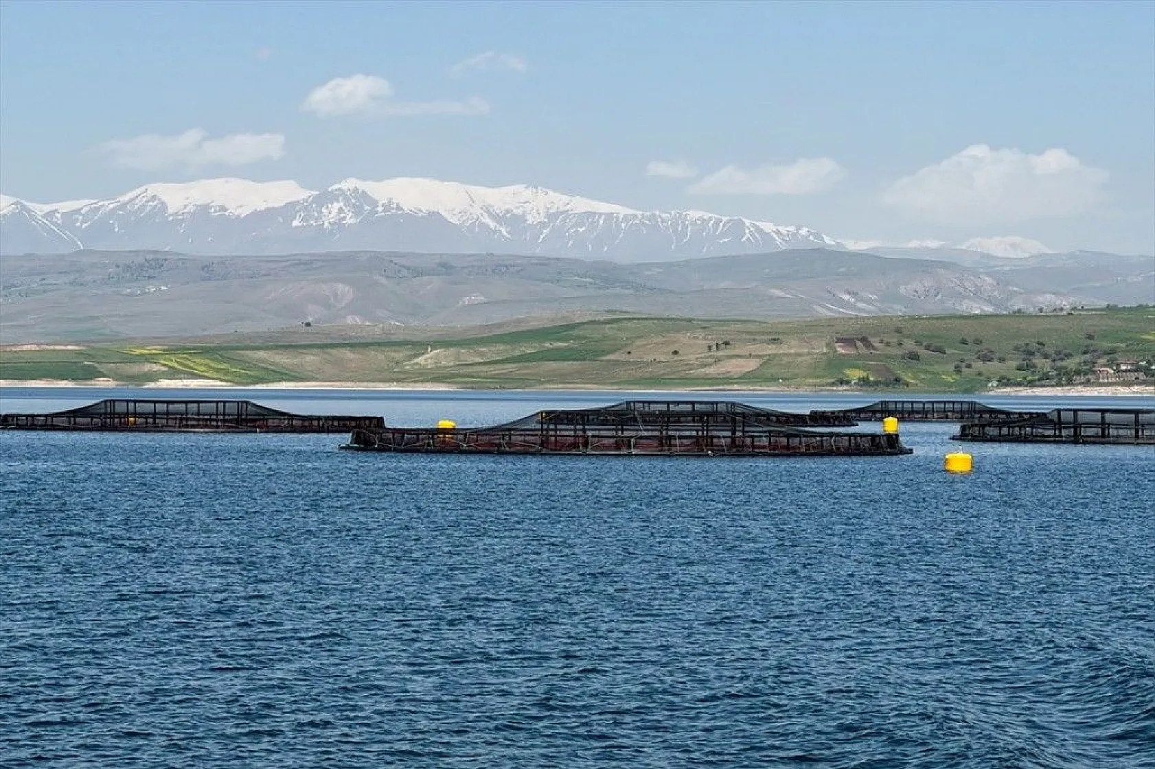 Elazığ, havyar ve Mersin balığında üretim üssü olmaya aday