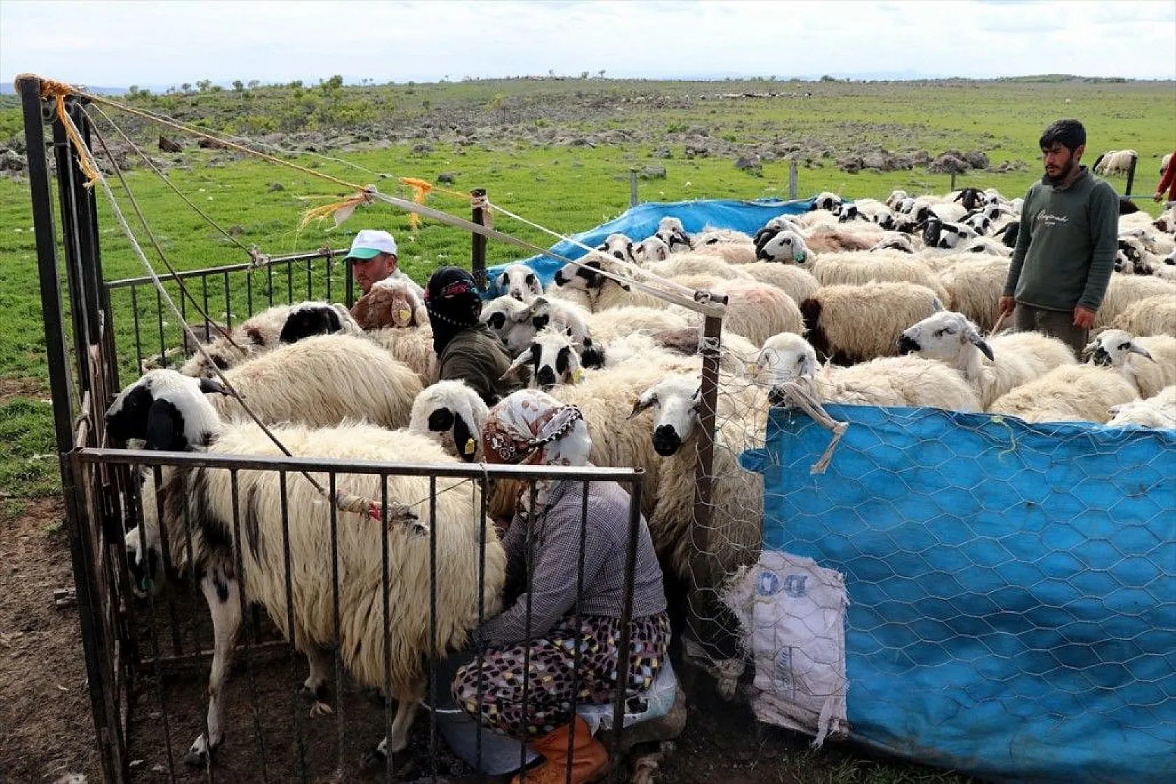 Göçer annelerin ömrü yolda ve çadırda geçiyor
