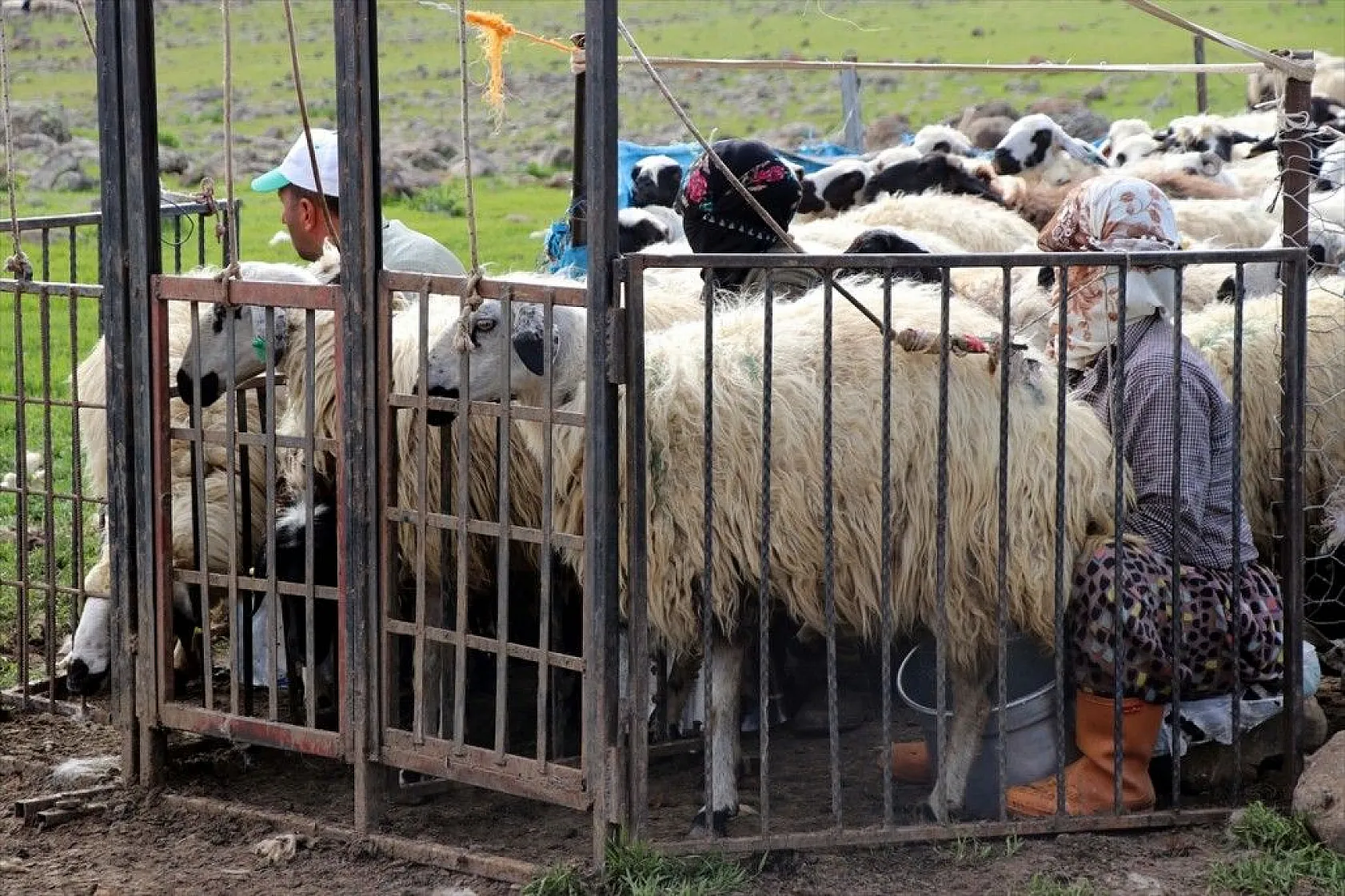 Göçer annelerin ömrü yolda ve çadırda geçiyor