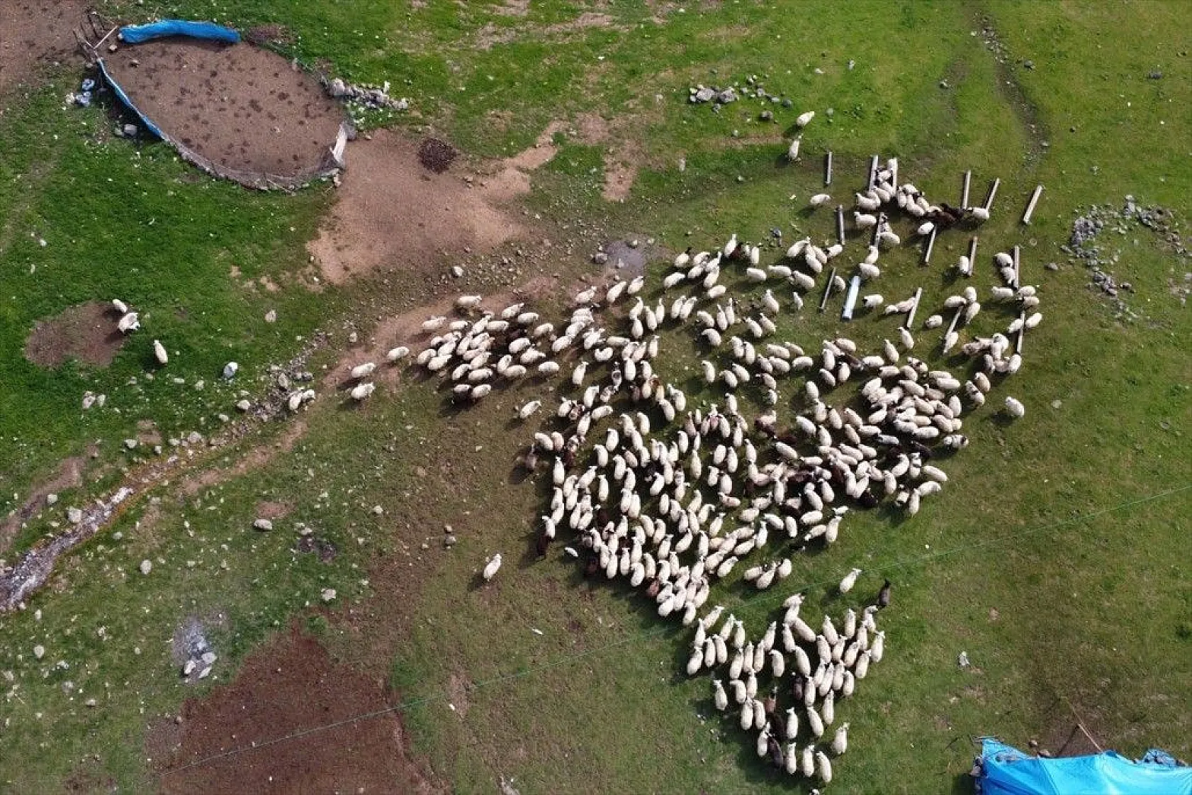 Göçer annelerin ömrü yolda ve çadırda geçiyor