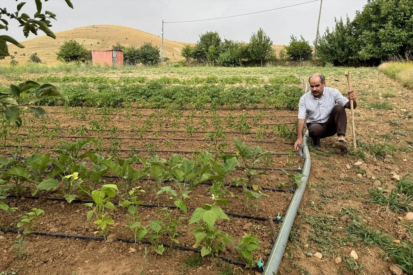 Görme engelli çiftçinin azim ve başarı hikayesi