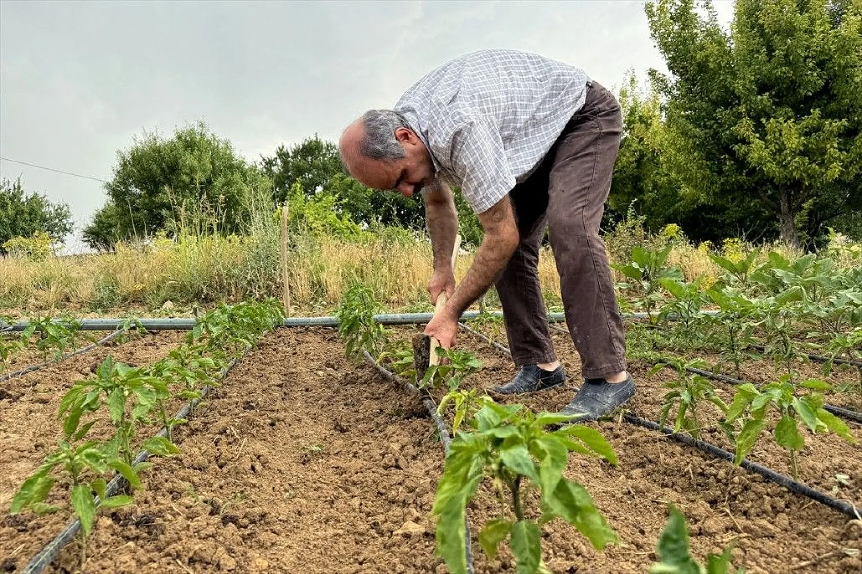 Görme engelli çiftçinin azim ve başarı hikayesi