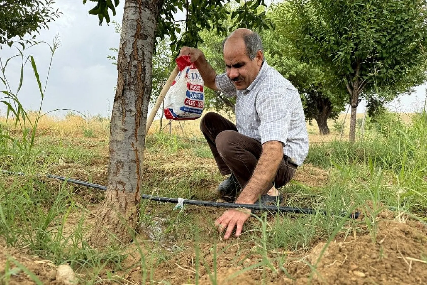 Görme engelli çiftçinin azim ve başarı hikayesi