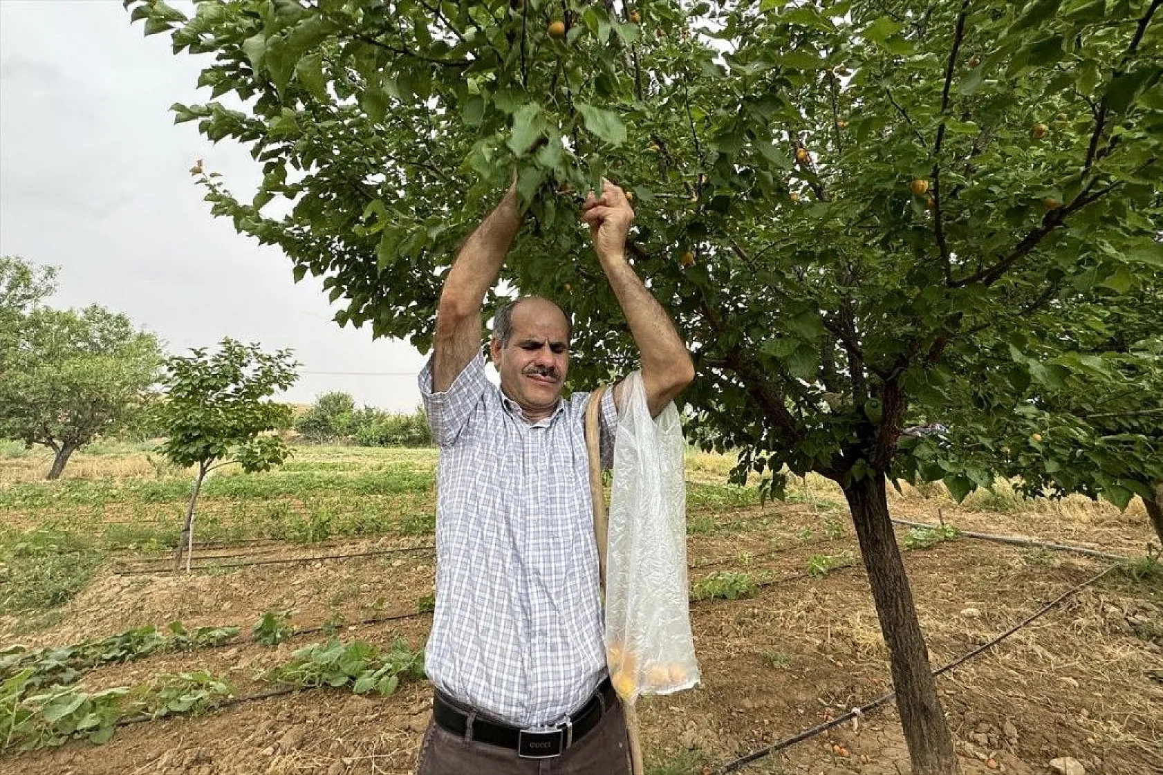 Görme engelli çiftçinin azim ve başarı hikayesi