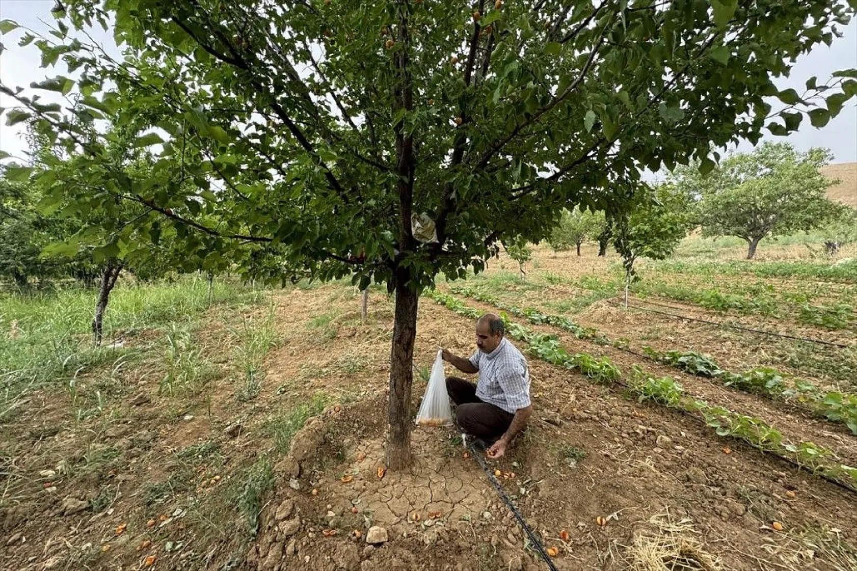 Görme engelli çiftçinin azim ve başarı hikayesi