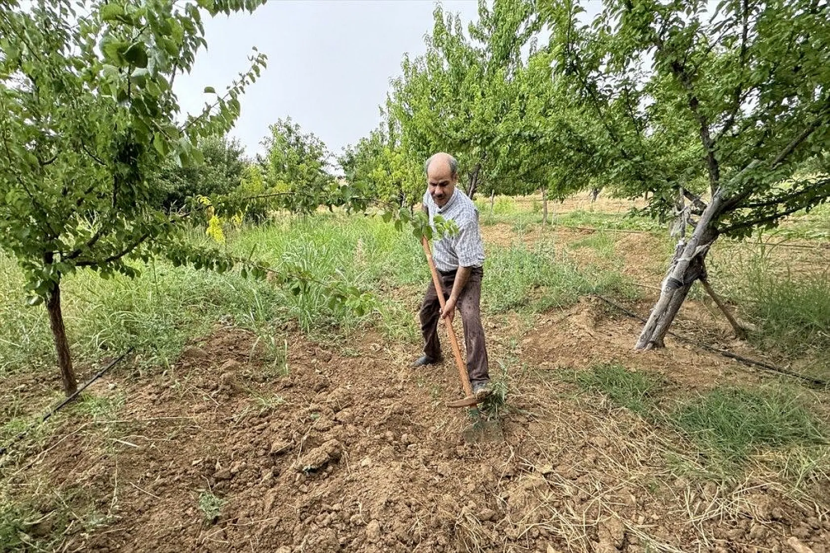 Görme engelli çiftçinin azim ve başarı hikayesi
