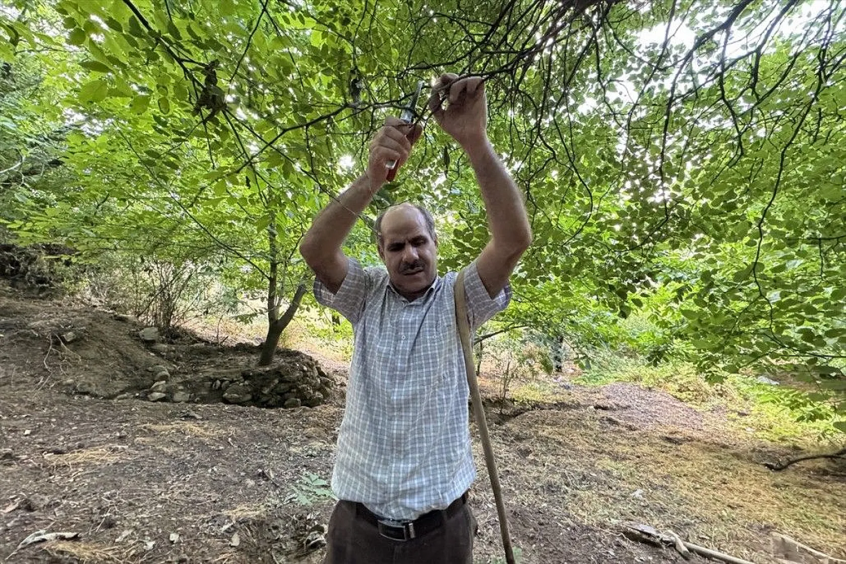 Görme engelli çiftçinin azim ve başarı hikayesi