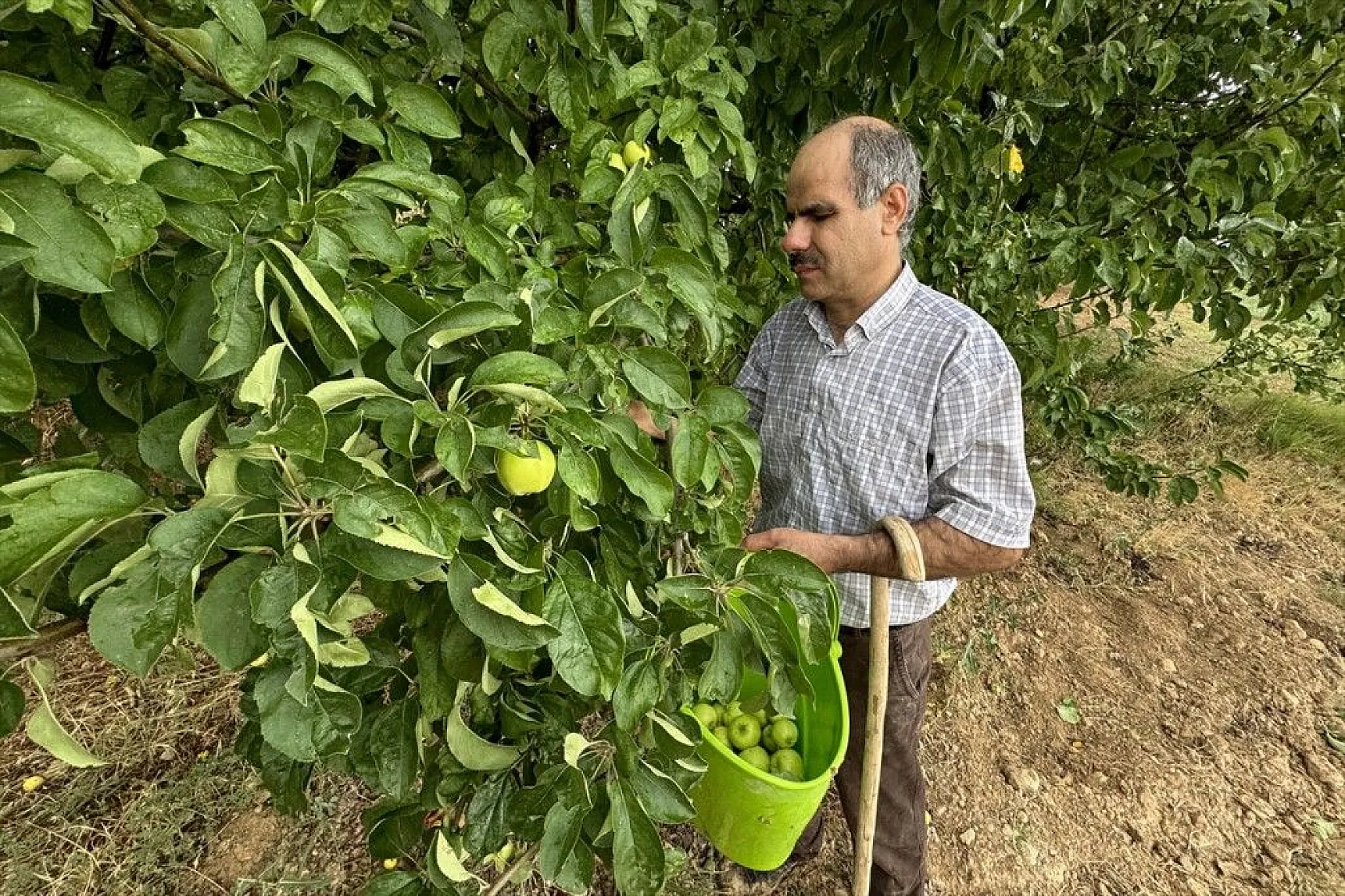 Görme engelli çiftçinin azim ve başarı hikayesi