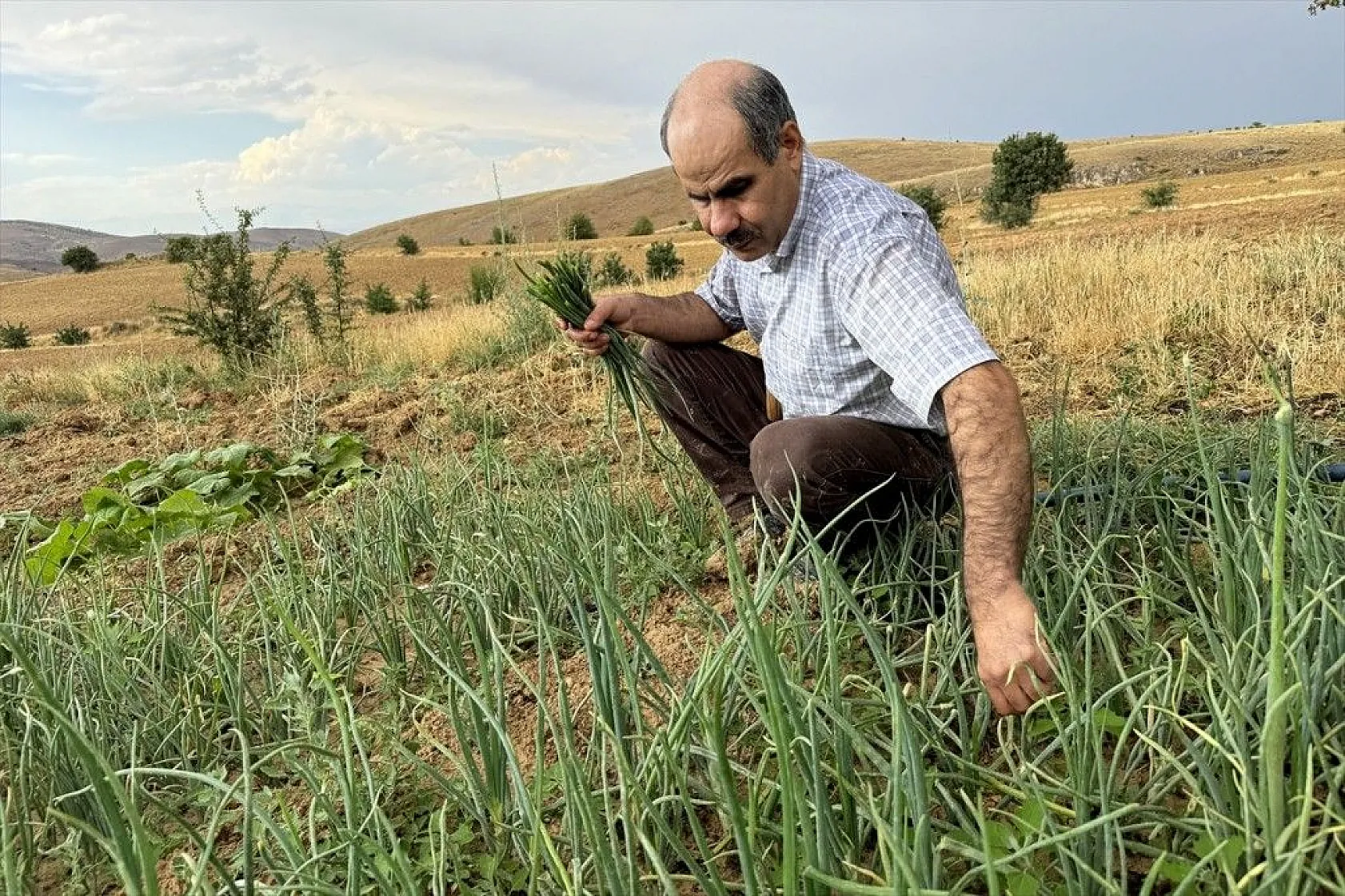 Görme engelli çiftçinin azim ve başarı hikayesi
