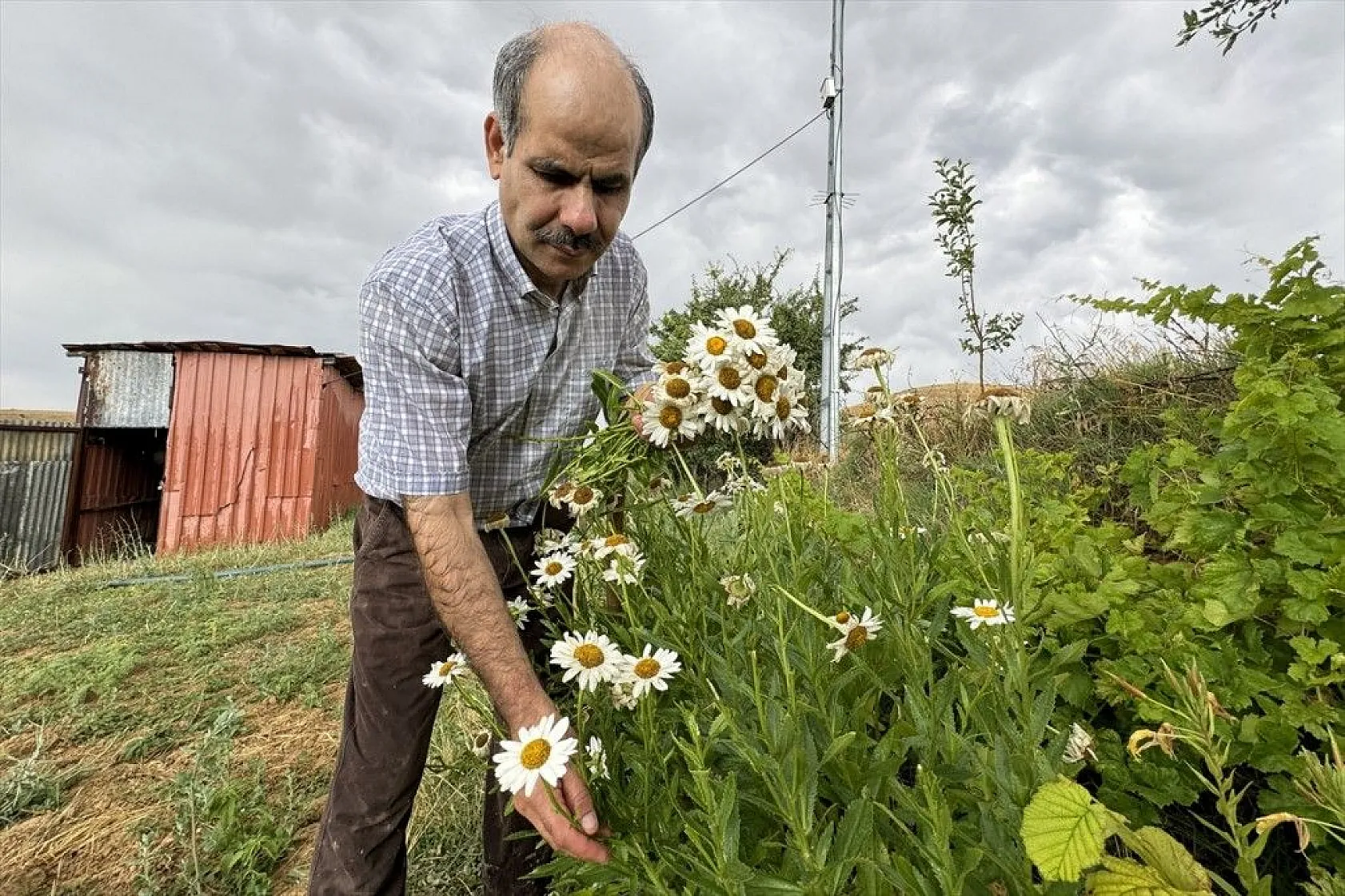 Görme engelli çiftçinin azim ve başarı hikayesi