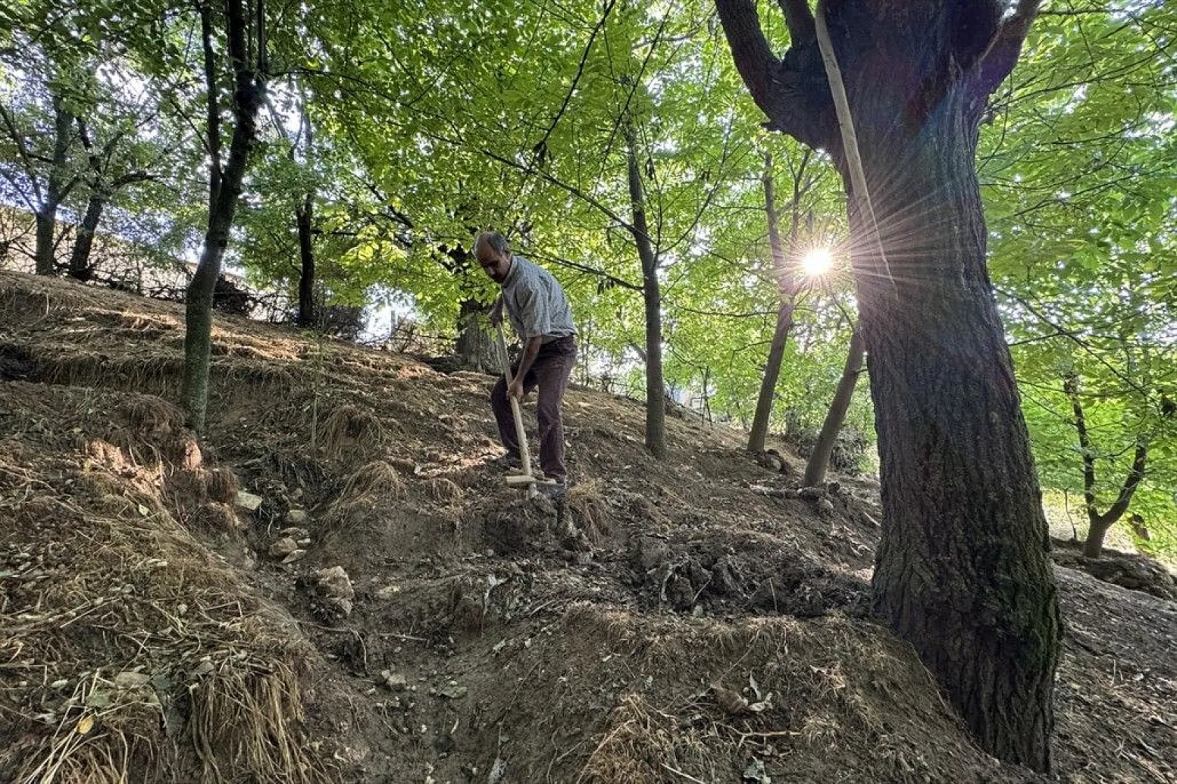 Görme engelli çiftçinin azim ve başarı hikayesi