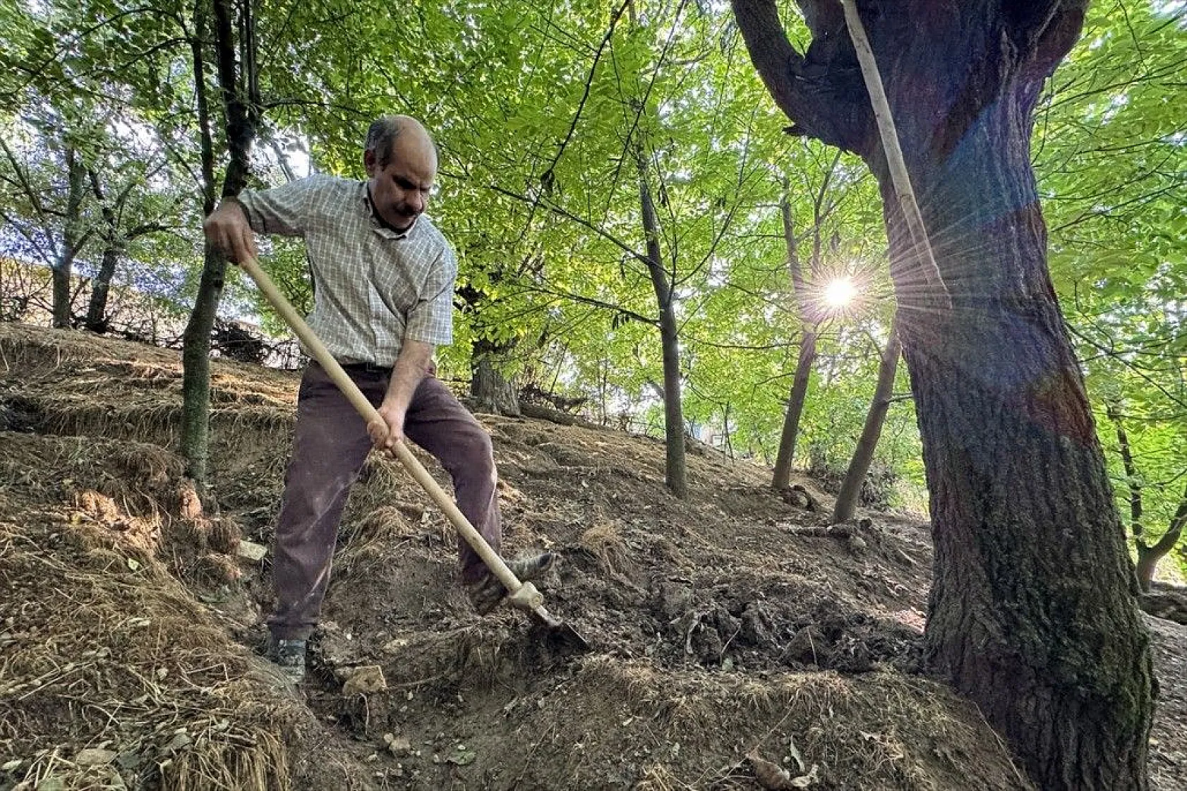 Görme engelli çiftçinin azim ve başarı hikayesi