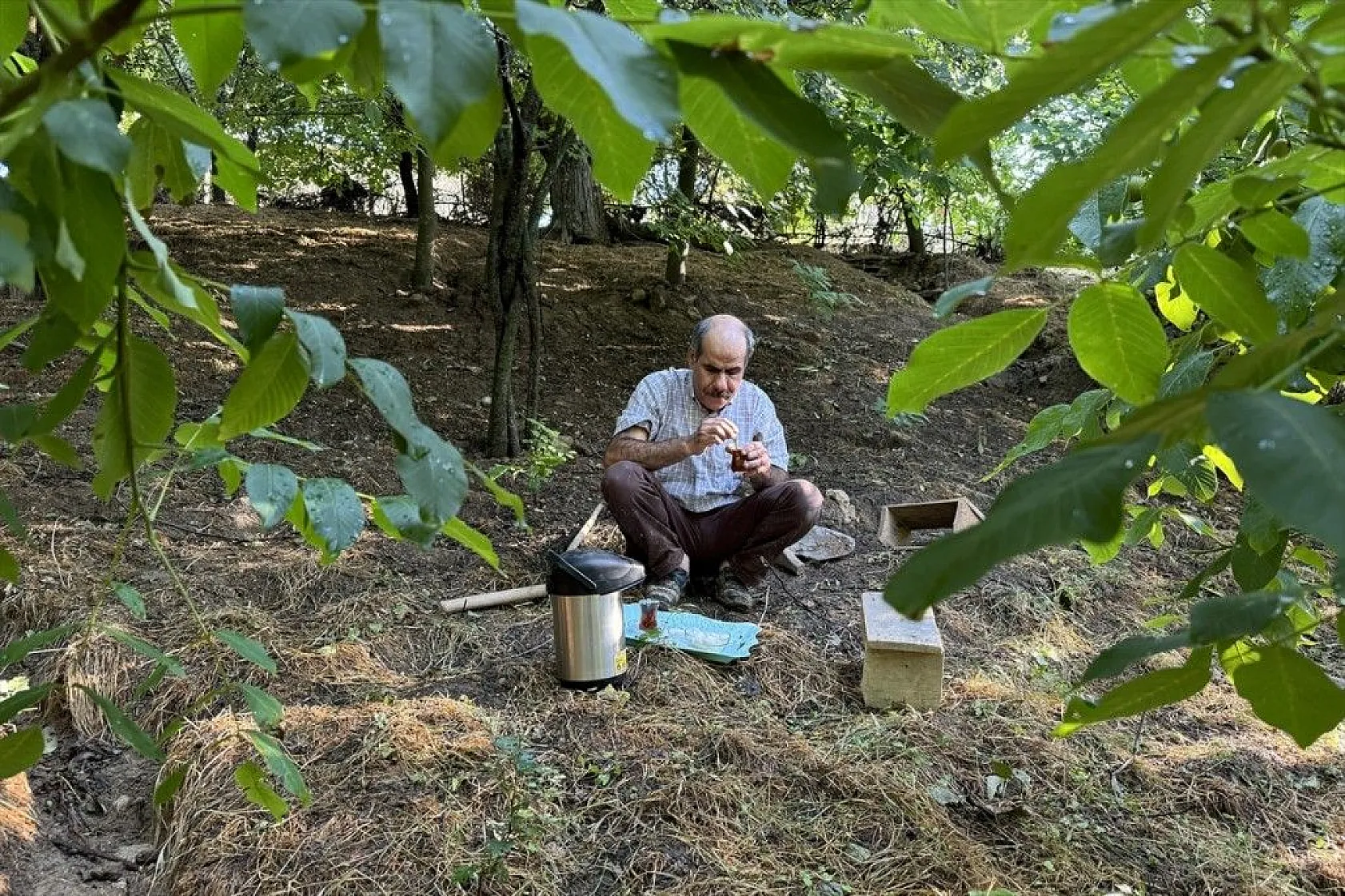 Görme engelli çiftçinin azim ve başarı hikayesi