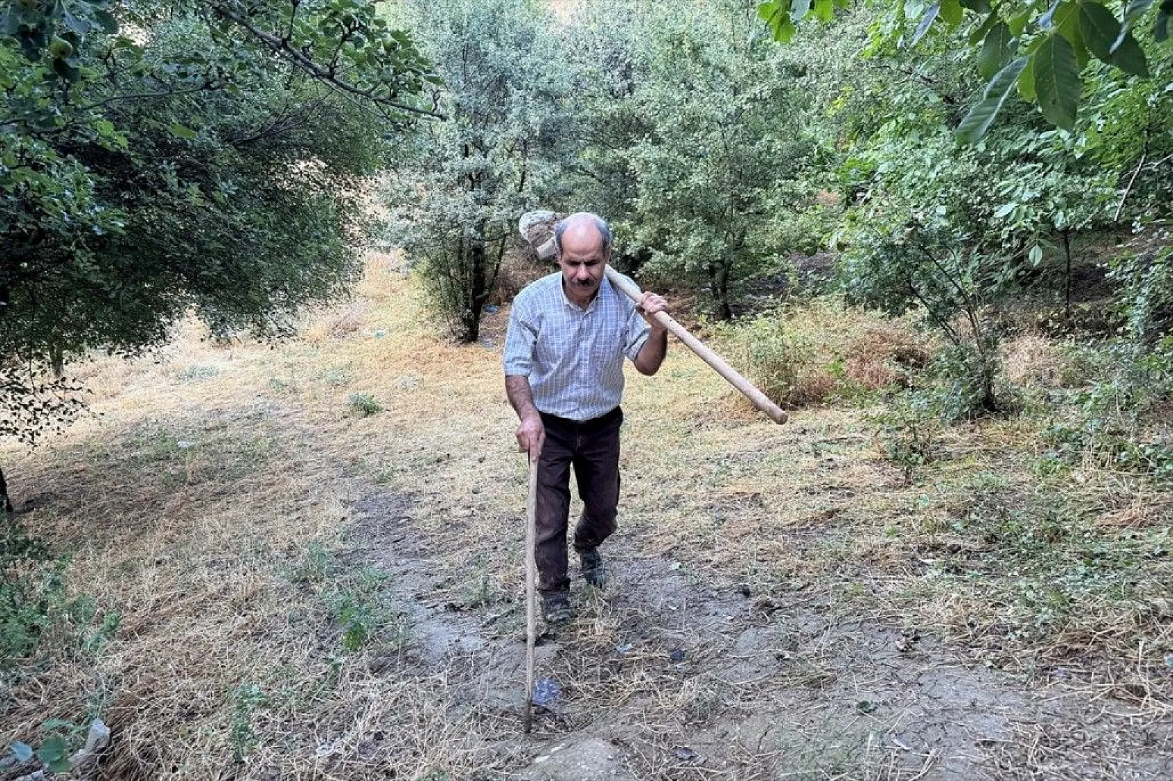 Görme engelli çiftçinin azim ve başarı hikayesi