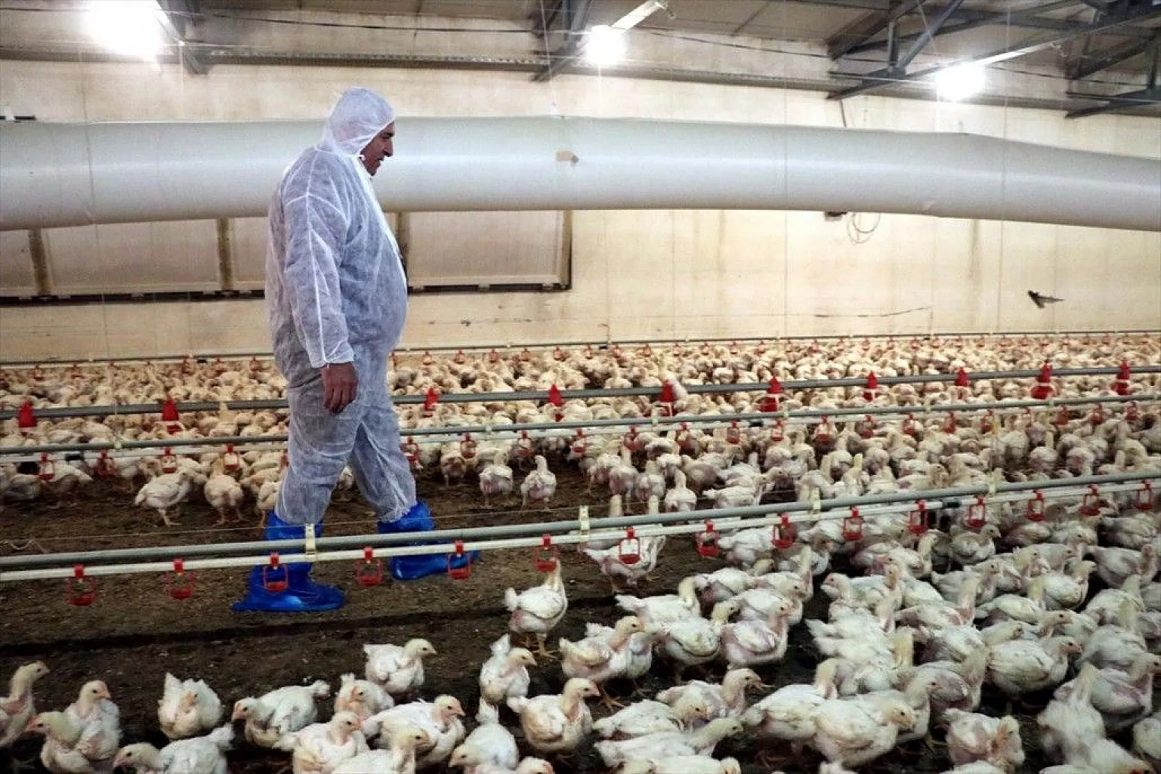 Gurbetten geldiği köyüne can verdi