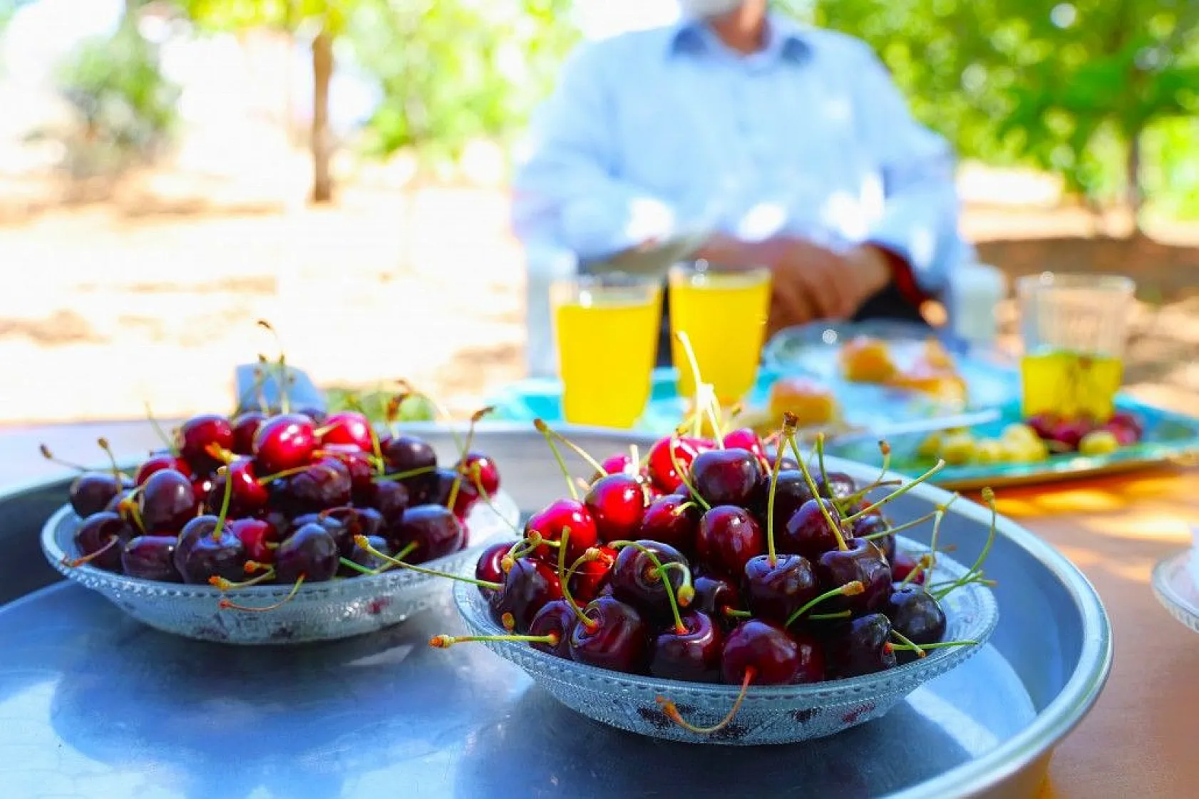 Harput'ta erken kiraz hasadı başladı