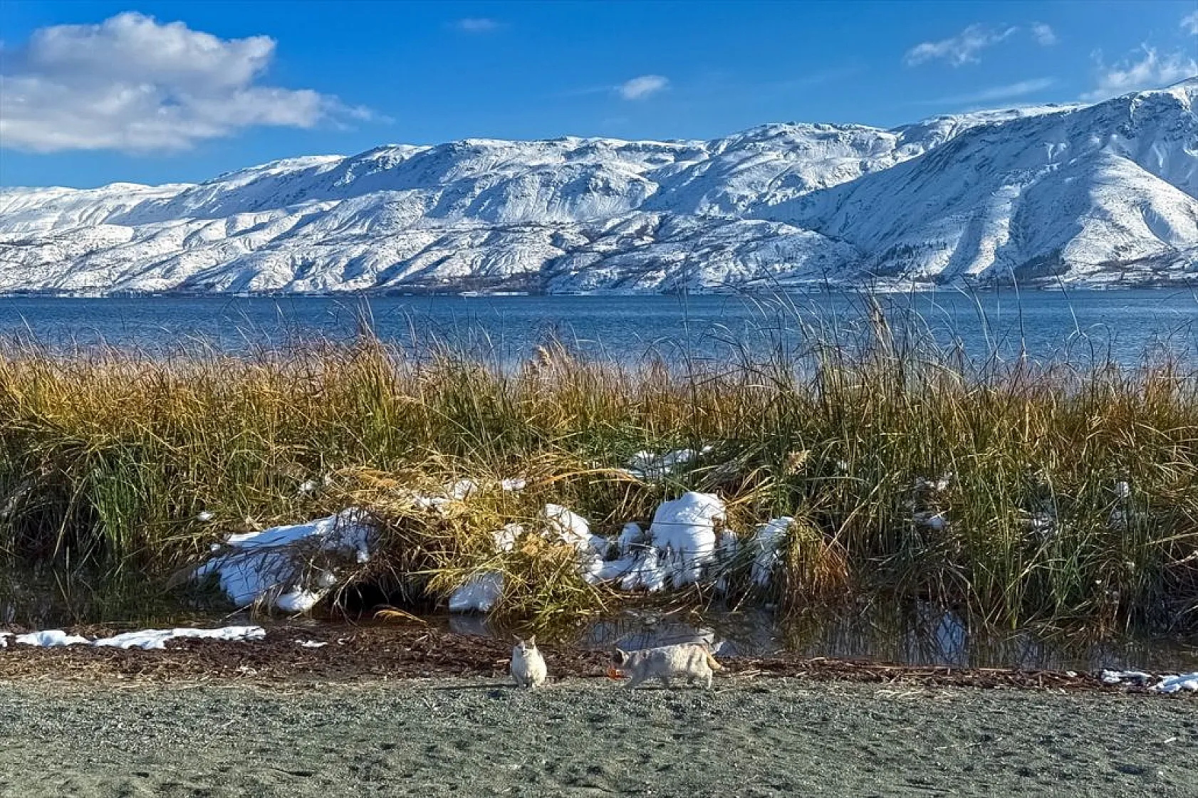 Elazığ'ın gözdesi Hazar Gölü'nde kış güzelliği